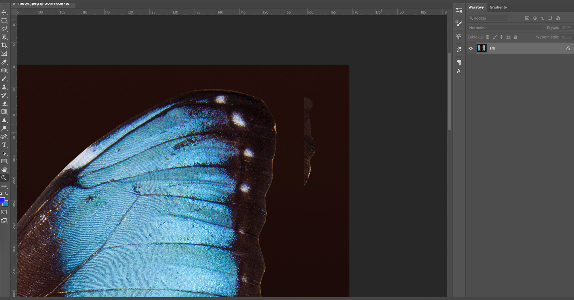 Ilustracja przedstawia okno programu. W obszarze roboczym jest fragment skrzydła motyla. Po prawej stronie jest panel dotyczący warstw. Tam jedna warstwa o nazwie: Tło.