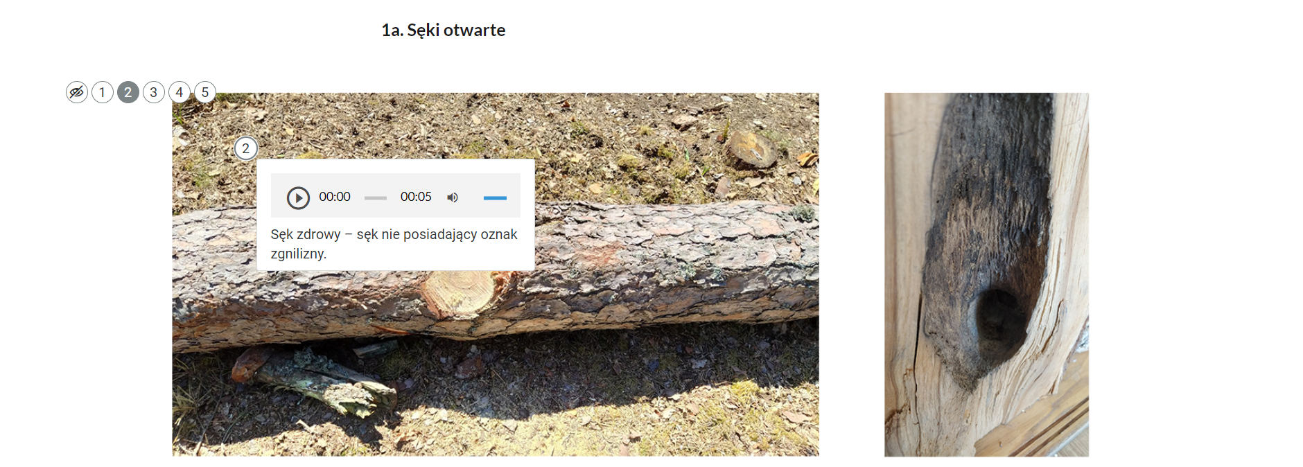 Ilustracja ukazuje przykładowy opis w galerii zdjęć. Opis składa się z tytułu, paska odtwarzania audio oraz tekstu.