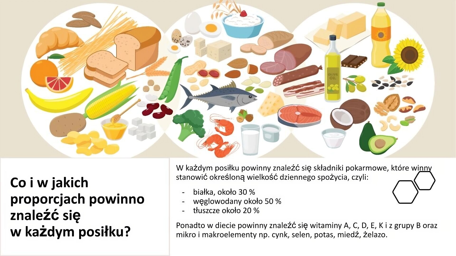 Slajd przedzielony na pół. W górnej części slajdu ilustracja, na której zostały umieszczone zdrowe produkty: pieczywo, zboża, owoce i warzywa, jajka, nabiał, ryby i owoce morza, sery, wędliny, masło, olej, oliwa, orzechy i ziarna. W dolnej części slajdu tekst: „Co i w jakich proporcjach powinno znaleźć się w każdym posiłku? W każdym posiłku powinny znaleźć się składniki pokarmowe, które winny stanowić określoną wielkość dziennego spożycia, czyli białko (około 30%), węglowodany (około 50%), tłuszcze (około 20%). Ponadto, w diecie powinny znaleźć się witaminy A, C, D, E, K i z grupy B oraz mikro- i makroelementy, np. cynk, selen, potas, miedź, żelazo”.