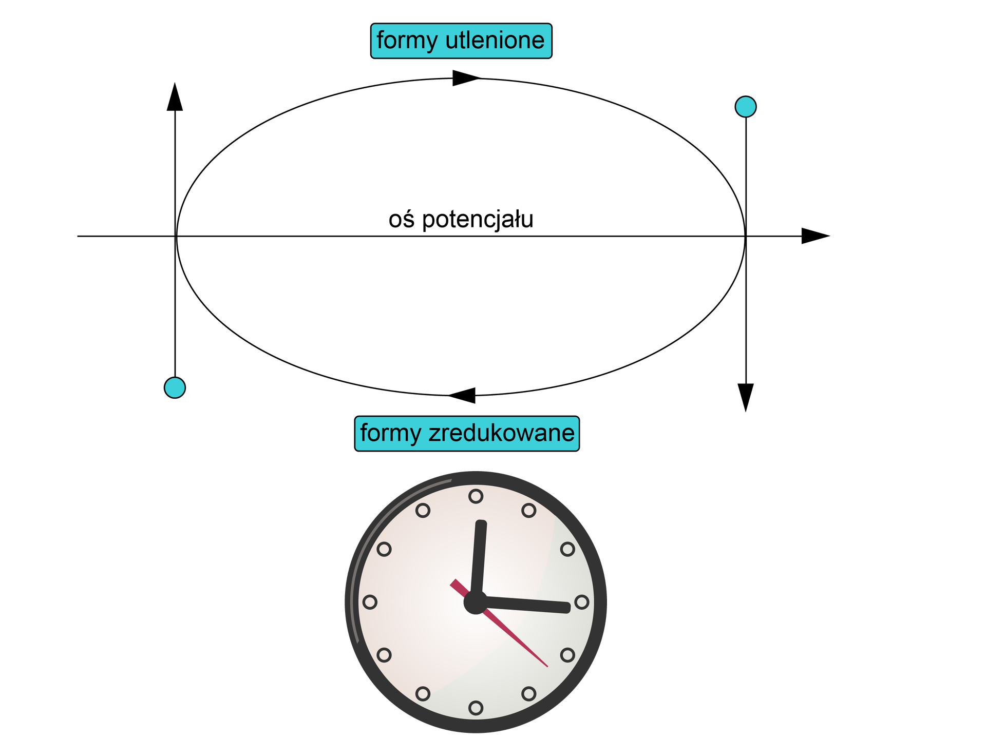 Na ilustracji znajduje się oś potencjału skierowana w prawo, wokół niej jest elipsa. Nad osią elipsę tworzy strzałka skierowana w prawo z napisem formy utlenione, pod osią strzałka w lewo z napisem formy zredukowane. Po lewej stronie z elipsa styka się pionowa strzałka skierowana w górę, po prawej stronie pionowa strzałka skierowana w dół. Pod rysunkiem znajduje się tarcza zegara.