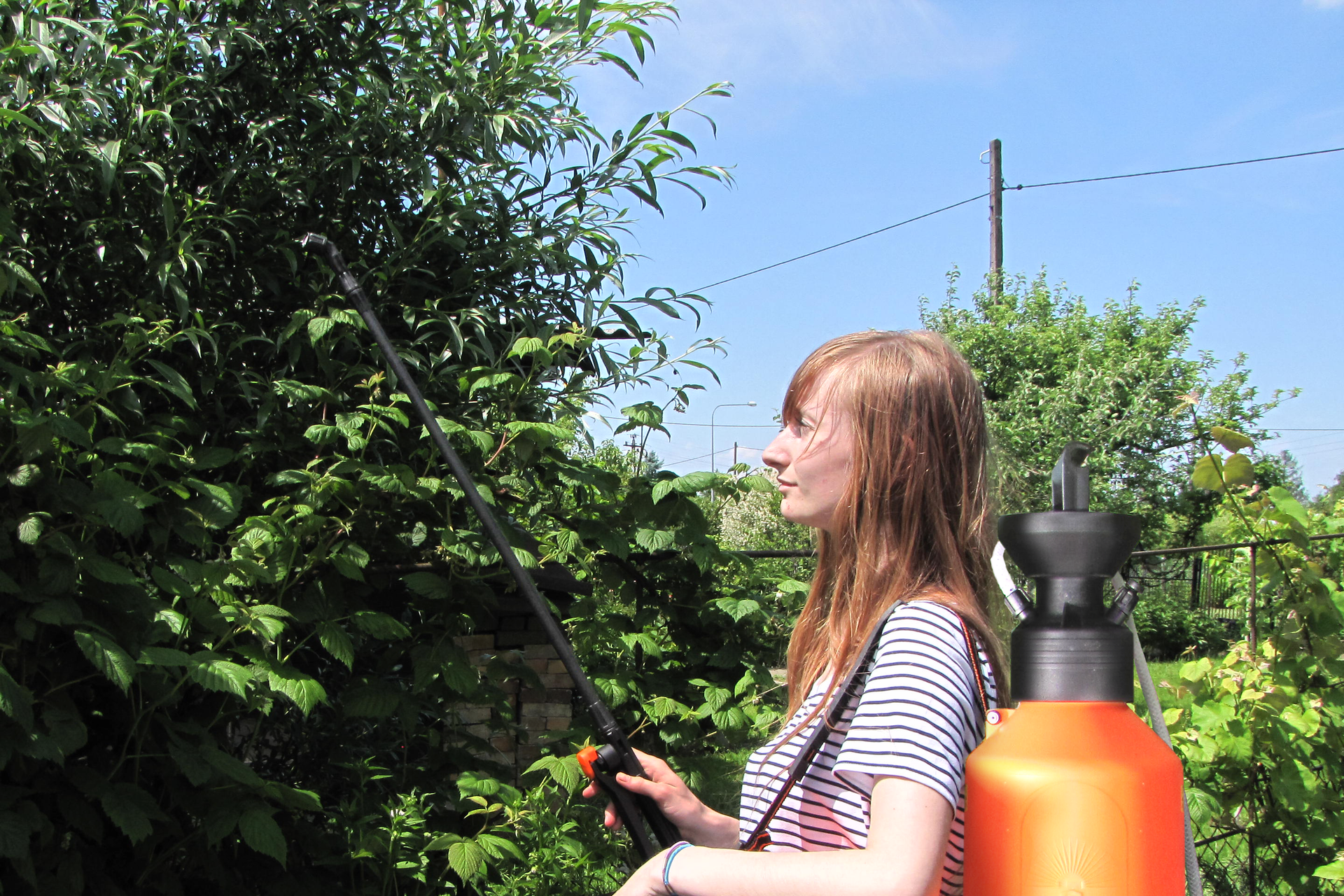 Fotografia prezentuje osobę wykonującą opryski drzew w ogrodzie. Dziewczyna na plecach ma zawieszony pomarańczowy baniak z preparatem. W ręce trzyma długi spryskiwacz.