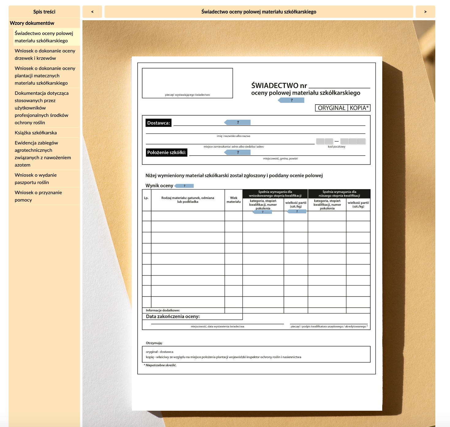 Przykładowy widok dokumentacji interaktywnej