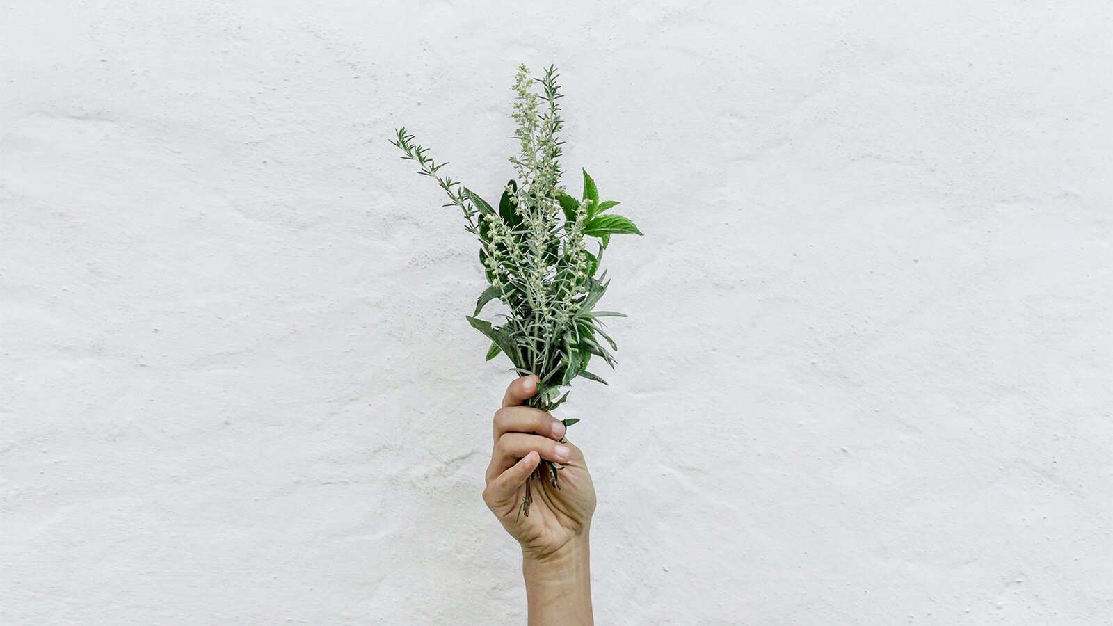 Zdjęcie przedstawia dłoń, w której ktoś trzyma bukiecik z listków mięty i gałązek rozmarynu. 