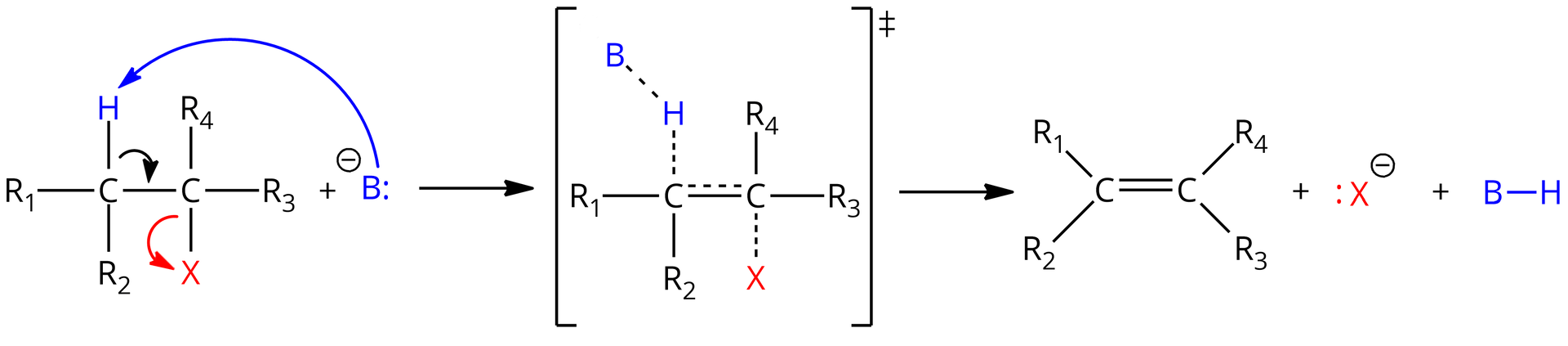 Ilustracja przedstawia schemat mechanizmu eliminacji E2. Cząsteczka halogenku alkilowego zbudowanego z dwóch połączonych za pomocą wiązania pojedynczego atomów węgla. Pierwszy z niech podstawiony jest grupami R1, R2 oraz atomem wodoru zaznaczonym na niebiesko. Drugi podstawiony jest grupami R3 i R4 oraz atomem halogenkowym X. Atomy H oraz X znajdują się po przeciwnych stronach płaszczyzny. Dodać zasadę B oznaczoną na niebiesko, posiadającą wolną parę elektronową symbolizowaną przez dwie kropki i obdarzoną ładunkiem ujemnym. Od wolnej pary elektronowej zasady poprowadzono niebieską, łukowatą strzałkę do atomu wodoru związanego z pierwszym atomem węgla cząsteczki halogenku. Od wiązania łączącego wspomniane atomy, to jest atom wodoru z atomem węgla, poprowadzono łukowatą strzałkę do wiązania pojedynczego łączącego dwa atomy węgla w cząsteczce. Ostatnią, czerwoną strzałkę poprowadzono od wiązania łączącego drugi z atomów węgla z atomem X do atomu X. Strzałka w prawo, za strzałką w nawiasie kwadratowym znajduje się struktura reprezentująca stan przejściowy. Składa się ona z dwóch połączonych za pomocą wiązania pojedynczego oraz przerywanej linii (odpowiadającej rozmyciu elektronów) atomów węgla, z których pierwszy łączy się za pomocą wiązań pojedynczych z podstawnikami R1 i R2, a także za pomocą przerywanej linii z atomem wodoru, który to związany jest również za pomocą przerywanej linii z zasadą B. Drugi atom węgla łączy się z podstawnikami R3 i R4, a także za pomocą przerywanej linii z atomem X. Zatem ładunek ujemny jest rozmyty. Strzałka w prawo, za strzałką cząsteczką alkenu zbudowanego z dwóch połączonych za pomocą wiązania podwójnego atomów węgla, z których pierwszy podstawiony jest grupami R1 i R2, zaś drugi grupami R3 i R4. Dodać anion X- z zaznaczoną wolną parą elektronową. Dodać cząsteczkę uprotonowanej zasady BH.