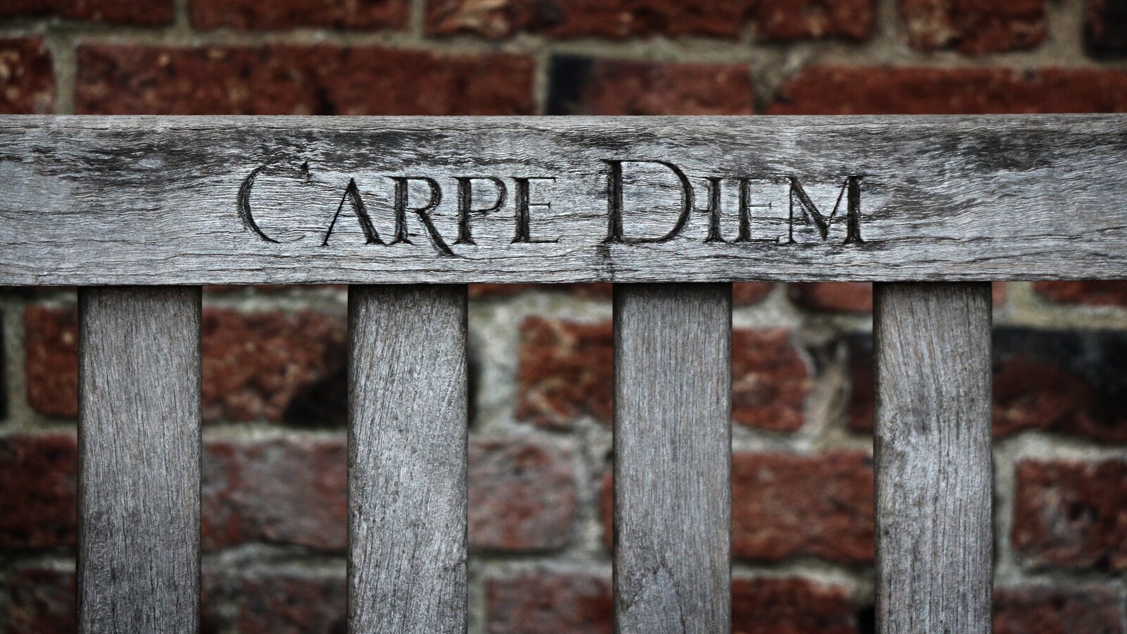 Kliknij, aby powiększyć. Fotografia przedstawiająca w dużym zbliżeniu na wprost szary, drewniany płot o czterech sztachetach ustawionych pionowo, umocowanych na poprzecznej również drewnianej belce. Na niej znajduje się napis: Carpe diem. Za płotem mur zbudowany z ciemnoczerwonych cegieł, a pomiędzy nimi zaprawa murarska.