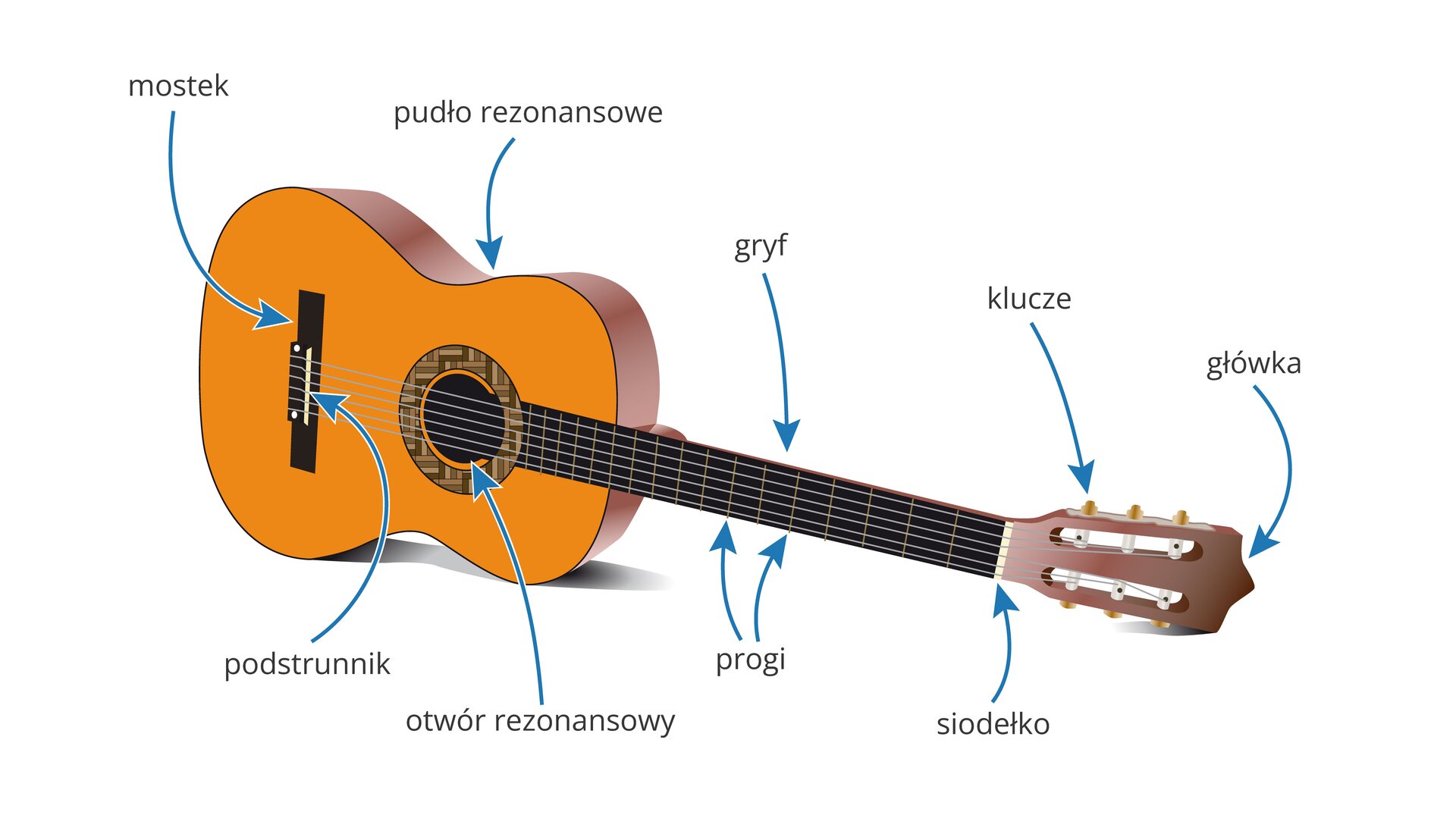 Ilustracja przedstawia gitara położoną na boku, tak, że jej większa część znajduje się po lewej stronie. Największa, drewniana część gitary to pudło rezonansowe, a okrągły otwór w nim to otwór rezonansowy. Pod otworem znajduje się czarny, podłużny element przechodzący równolegle do podstawy pudła rezonansowego - mostek oraz ułożona na nim wystająca część - podstrunnik. Cieńsza, długa część gitary to gryf, na którym znajdują się prostopadłe cienkie linie - progi. Na końcu gryfu jest siodełko, które przechodzi w poprzek gryfu i kończy powierzchnię do przyciskania palcami strun. Końcową częścią gitary jest główka, przez którą przechodzi w poprzek sześć kluczy - wypustek do regulowania napięcia strun.