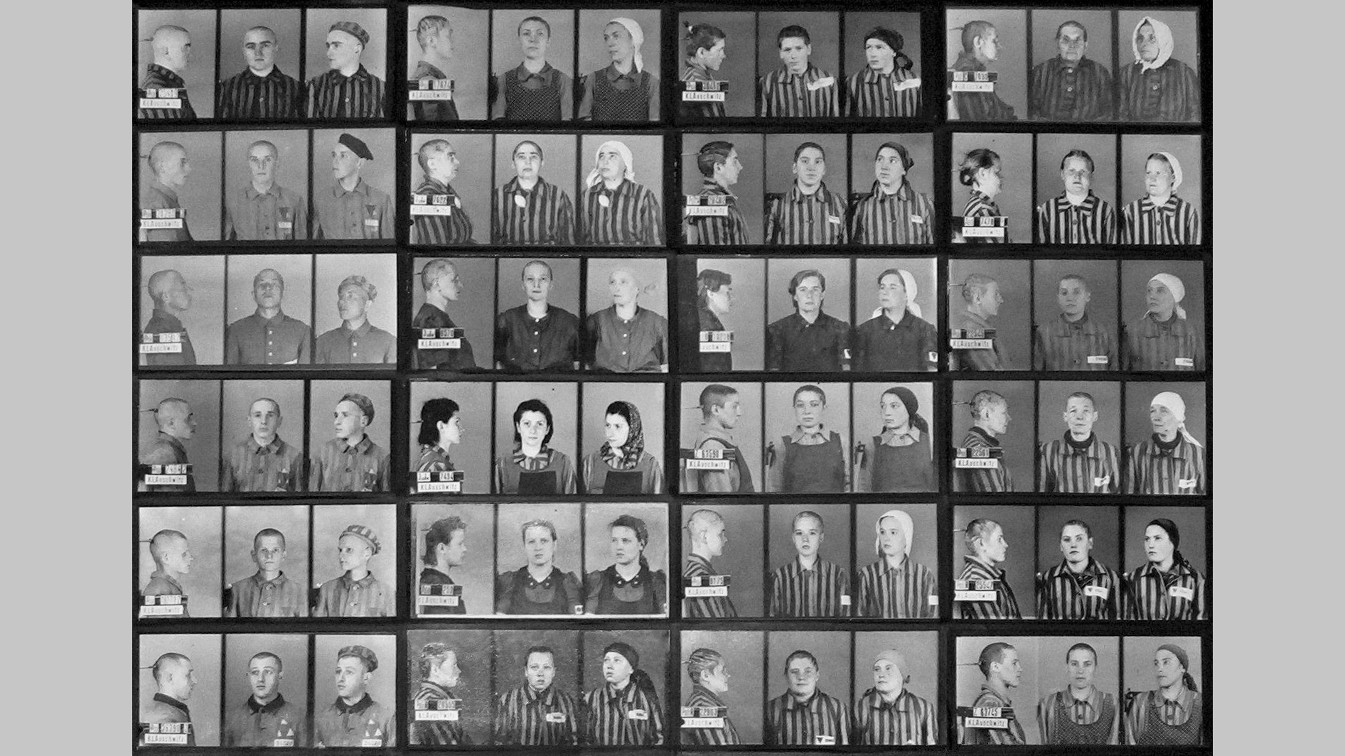 Na fotografii widzimy zestawienie zdjęć więźniów obozu koncentracyjnego.