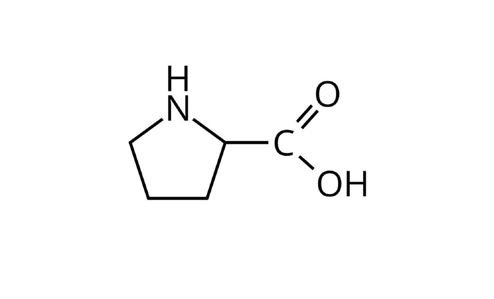 Na ilustracji ukazano wzór półstrukturalny proliny. Pięciokąt z grupą N H w górnym rogu łączy się wiązaniem pojedynczym z prawej strony z symbolem C. Od niego odchodzą dwa wiązania: podwójne na ukos w górę do symbolu O i pojedyncze na ukos w dół do grupy O H.