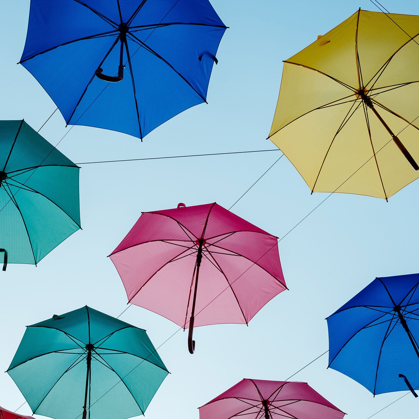 Zdjęcie przedstawia kilka otwartych parasoli zamocowanych na linkach na otwartej przestrzeni. Widoczne są parasole w kolorach: granatowym, zielonym, różowym i żółtym. W tle za nimi znajduje się jasnoniebieskie niebo.