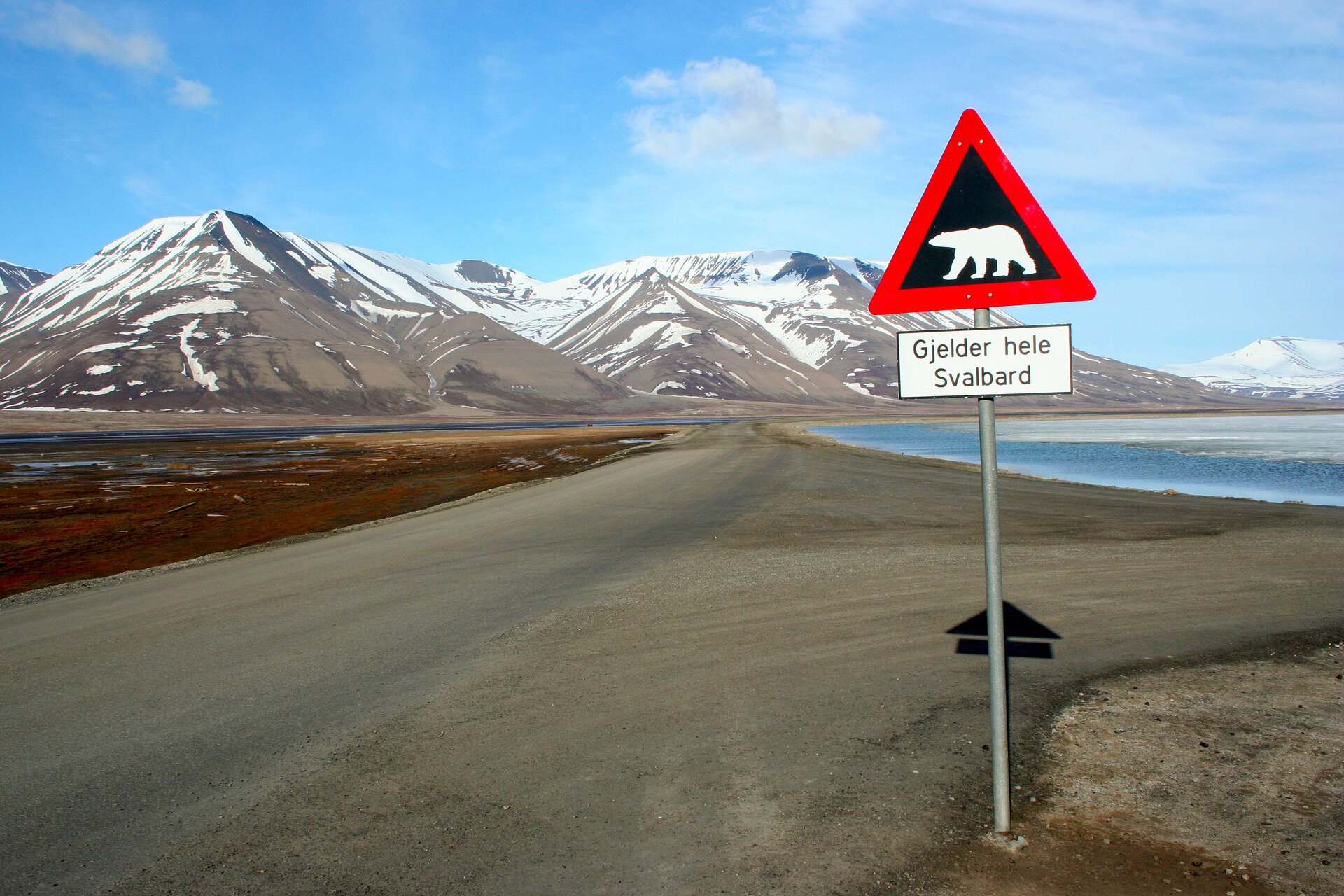 Na zdjęciu droga gruntowa, znak drogowy uwaga niedźwiedzie. W tle brzeg morza, wysokie skaliste, ośnieżone góry.