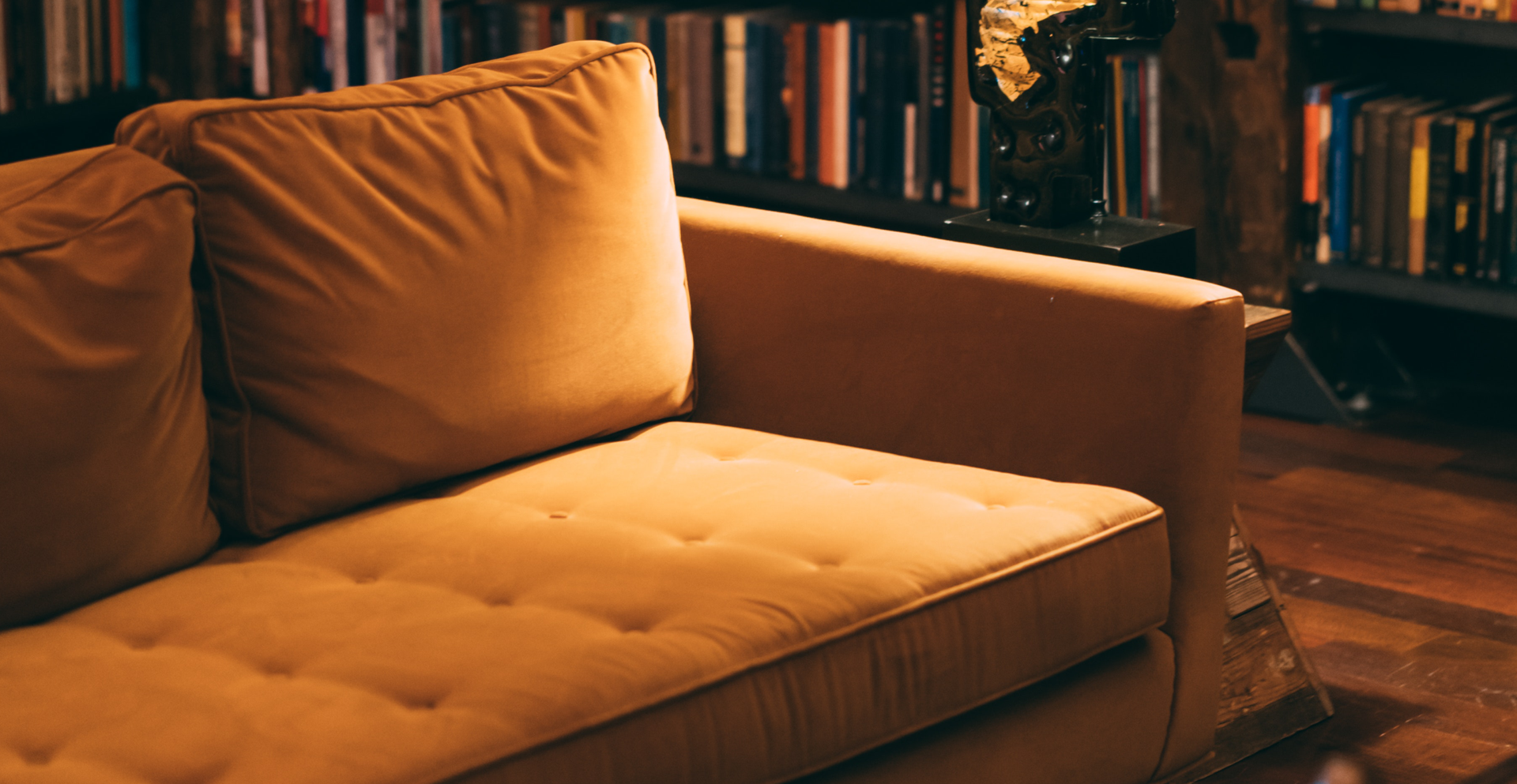Zdjęcie przedstawia kanapę. W tle widoczny jest regał z książkami.