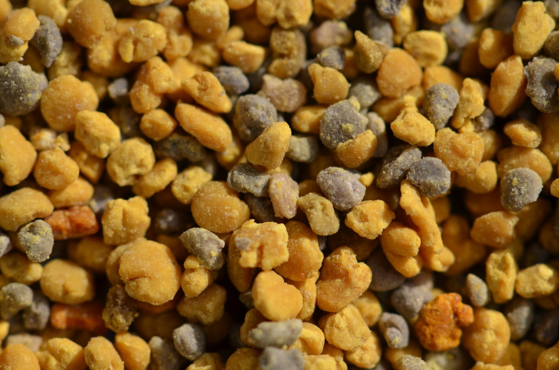 Zdjęcie przedstawia pyłek kwiatowy.