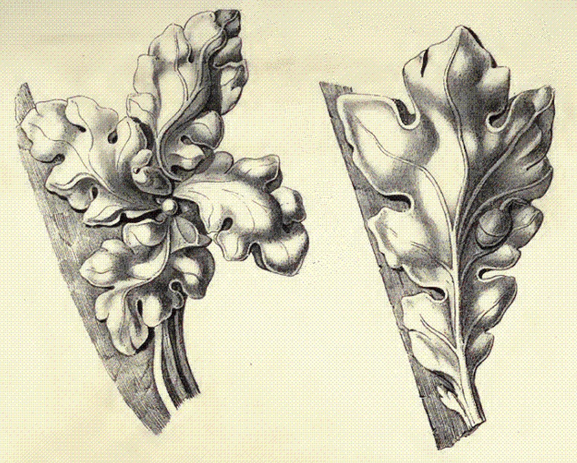 Ilustracja przedstawiająca ornament: czołganki (żabki). Element dekoracyjny naszkicowany jest czarnym kolorem bez wypełenień.