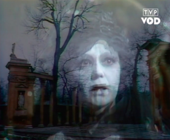 Fotografia przedstawia nakładające się na siebie dwa obrazy. Pośrodku ukazana jest twarz kobiety w sile wieku. Postać ukazuje w całości owalną twarz. Kobieta ma gładkie czoło, jasne brwi, duże, szeroko otwarte oczy, prosty nos i otwarte usta. Drugie zdjęcie przedstawia scenę teatru letniego. Wokół niej stoją kolumny. W głębi rosną bezlistne drzewa.