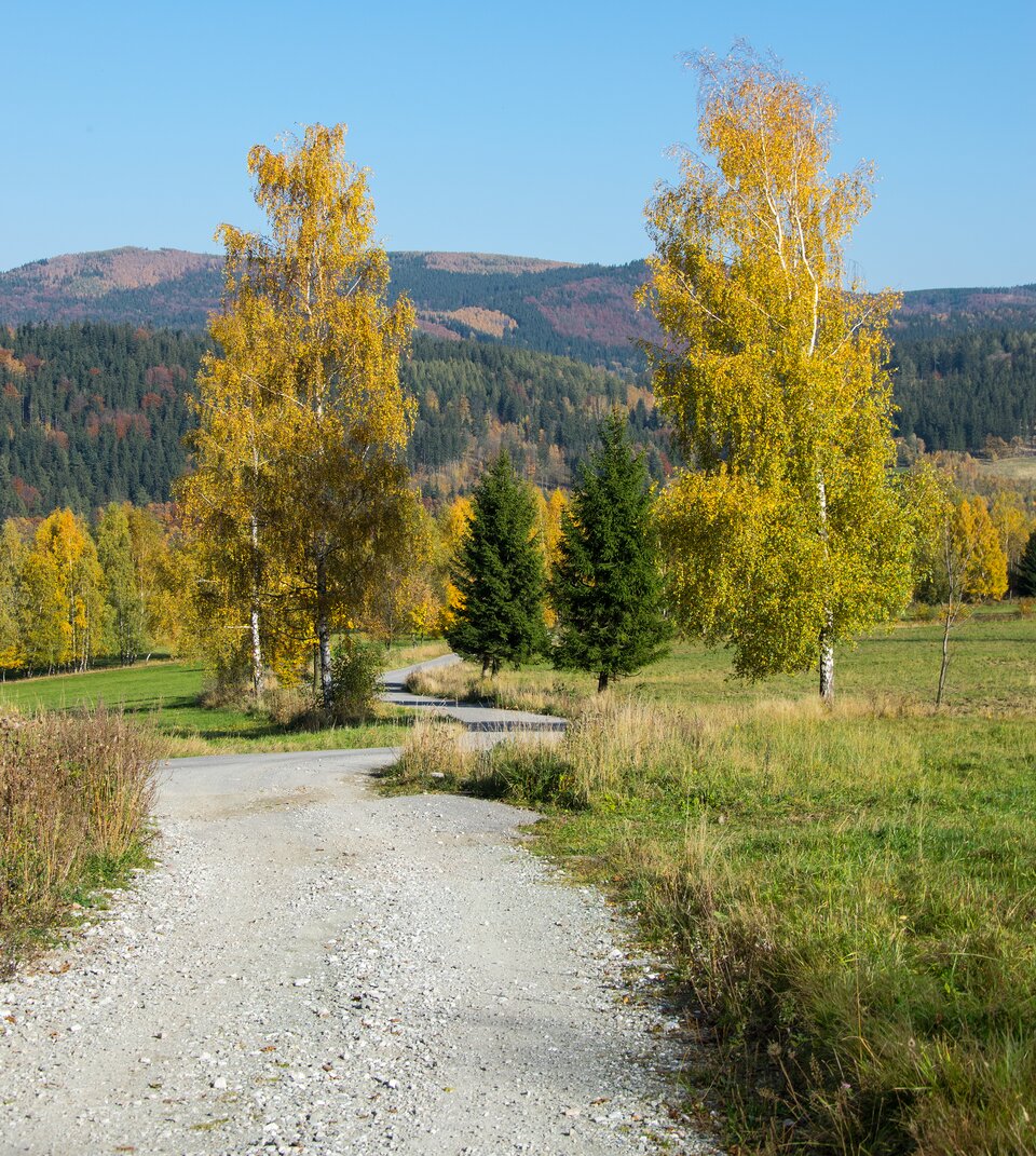Zdjęcie przedstawia jesienny krajobraz. Pomiędzy łąkami prowadzi ścieżka. Jest wysypana jasnym kamieniem. W tle są jesienne drzewa oraz wzgórza porośnięte lasami.  