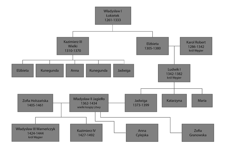 Grafika przedstawia drzewo genealogiczne Władysława Pierwszego Łokietka (1261‑1333). Był on ojcem Kazimierza Trzeciego Wielkiego (1310‑1370), ojca Elżbiety, Kunegundy, Anny, Kunegundy i Jadwigi oraz Elżbiety (1305‑1380), która została mężem Karola Roberta (1286‑1342), króla Węgier. Z małżeństwa Elżbiety i Karola Roberta urodził się Ludwik Pierwszy (1342‑1282), król Węgier. Ludwik pierwszy był ojcem trojga dzieci: Katarzyny, Marii i Jadwigi (1374‑1399). Jadwiga została pierwszą żoną Władysława Drugiego Jagiełły (1362‑1434), wielkiego księcia Litwy. Drugą żoną była Anna Cylejska, trzecią Zofia Granowska. Czwartą żoną Władysława Drugiego Jagiełły była Zofia Holszańska (1405‑1461), z którą król miał dwoje dzieci: Władysława Trzeciego Warneńczyka (1424‑1444), króla Węgier i Kazimierza Czwartego (1427‑1492). 