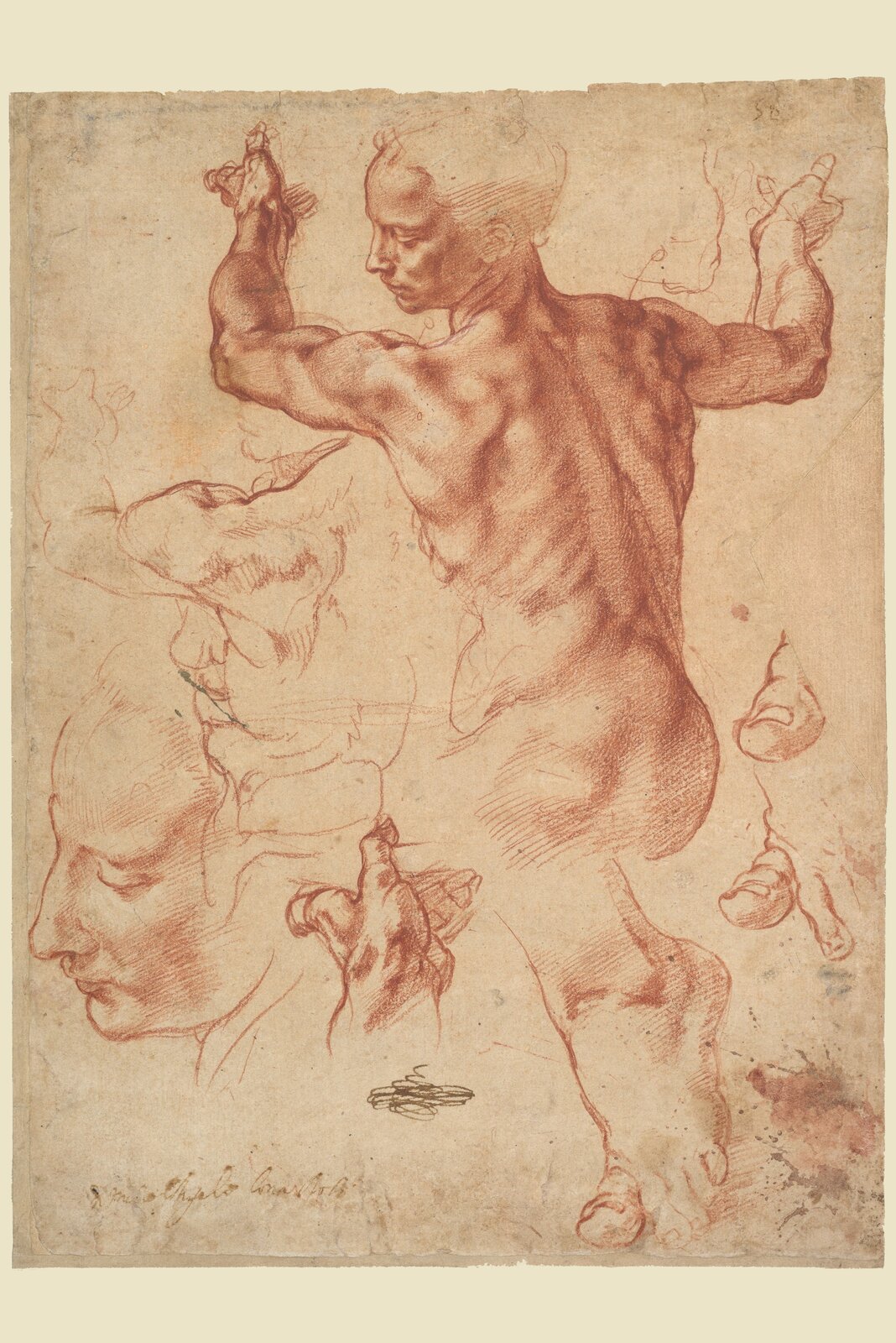 Ilustracja przedstawia szaro‑beżowe tło, na którym ukazano sylwetkę postaci. Na pierwszym planie obecne jest ciemnobeżowe, ukazane tyłem, od pośladków w górę, umięśnione ciało. Jego kontury są miękkie, zlewające się z wypełnieniem. Ręce postaci są uniesione, a głowa ukazana bokiem oraz skierowana w dół. Jej nos jest prosty, a czoło wysokie. Jej talia jest wąska, a brzuch nieco wystający. Poniżej obecne są kontury ukazujące zbliżenia na poszczególne części postaci – zarysowano jego plecy, twarz z bliska, dłoń, stopę oraz palce. Kontury wykonano grubymi liniami, odróżniającymi się od wypełnienia.