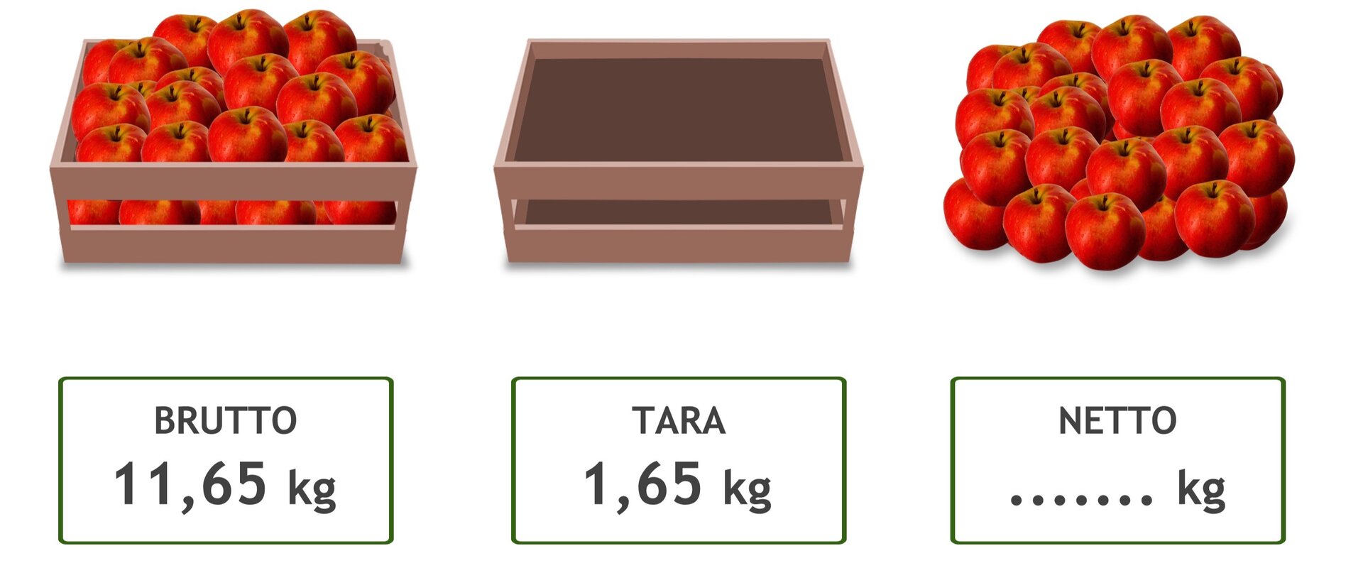 Rysunek skrzynki z jabłkami (brutto – 11,65 kg), pustej skrzynki (tara – 1,65 kg) i samych jabłek (netto - … kg).