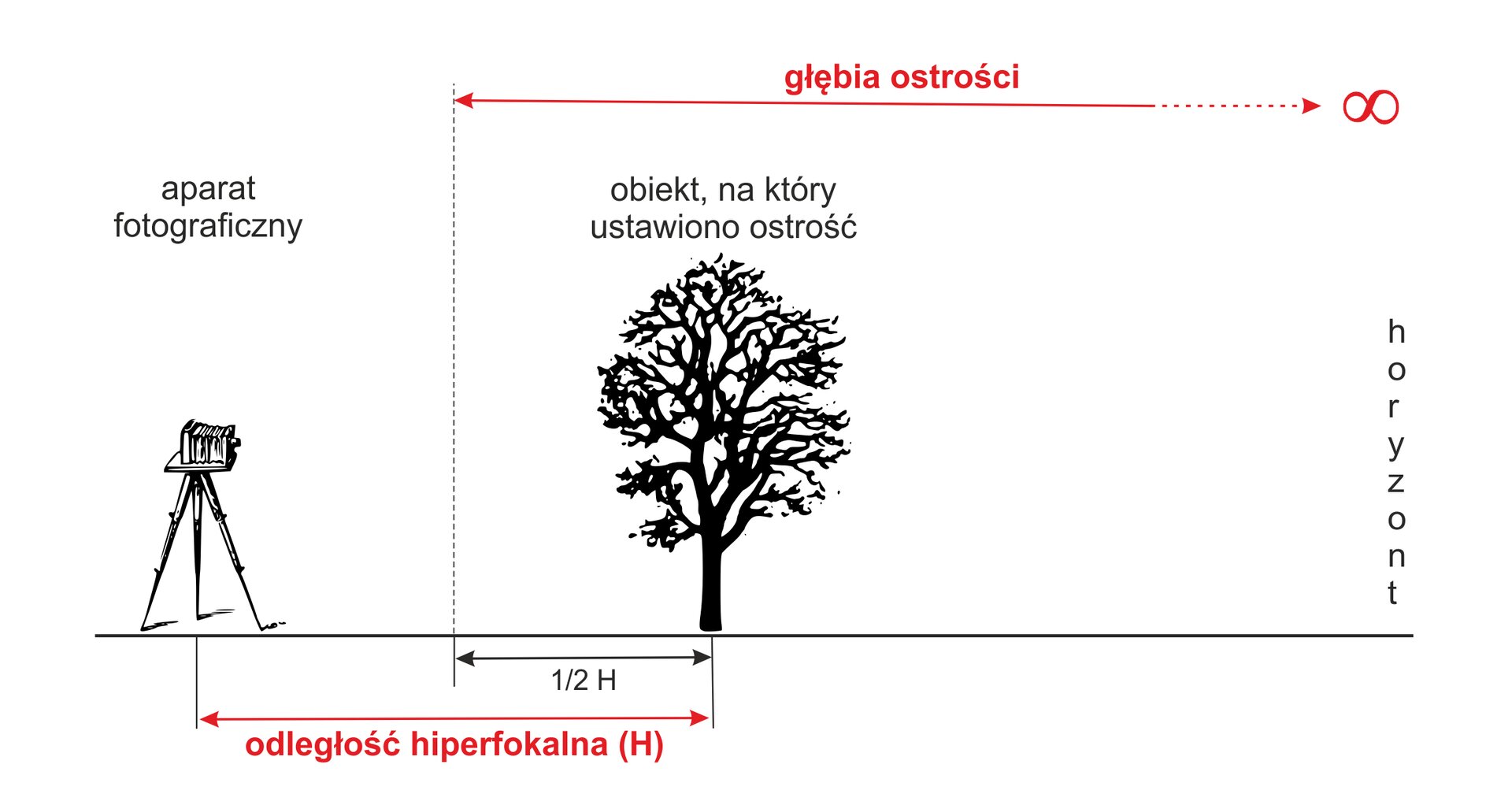 Grafika przedstawia odległość hiperfokalną. Od lewej widoczny jest statyw z zamocowanym aparatem z napisem u góry: aparat fotograficzny. Na prawo graficznie przedstawione drzewo z napisem u góry: obiekt na który ustawiono ostrość. Na końcu napis w pionie: horyzont. Aparat i drzewo znajdują się na czarnej poziomej linii. Pomiędzy aparatem a drzewem biegnie czerwona strzałka zakończona grotami na obu końcach z napisem: odległość hiperfokalna (H). W połowie odcinka między aparatem a drzewem biegnie pionowa cienka linia, pomiędzy którą a drzewem biegnie czarna strzałka zakończona grotami na obu końcach z napisem: 1/2 H. Od pionowej cienkiej linii, u góry nad drzewem, biegnie czerwona strzałka zakończona grotami na obu końcach z napisem: głębia ostrości, która na końcu po prawej ma znak nieskończoności.