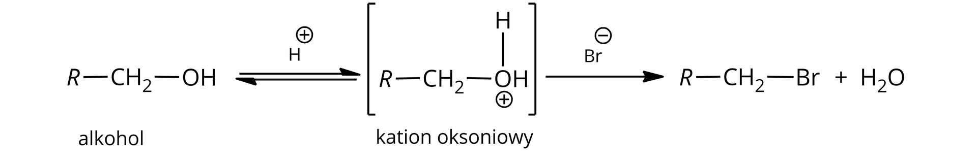 Ilustracja przedstawia równanie: R—CH2—2OH⇄H+R—CH2—O+H2⇄Br-R—CH2—Br+H2O.