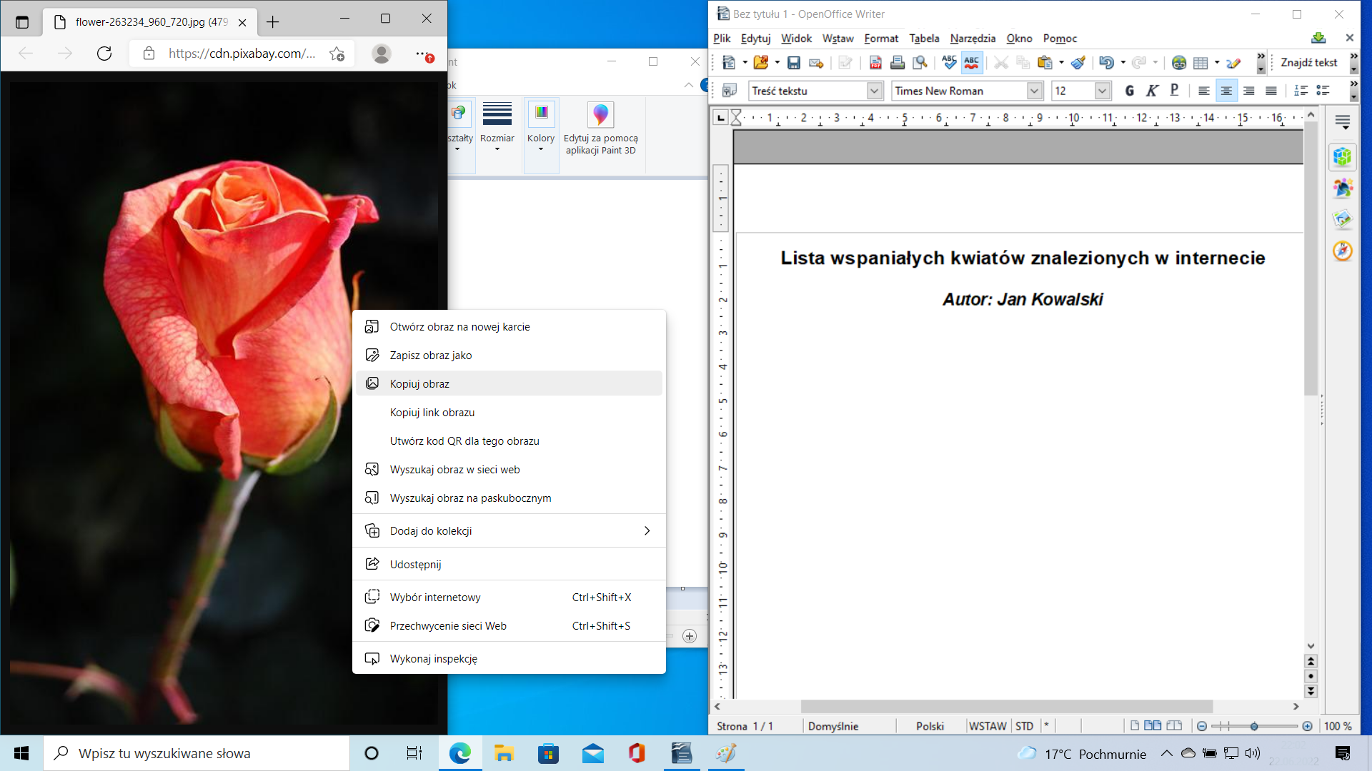 Ilustracja przedstawia pulpit systemu Windows 10, otwarte są trzy okna: przeglądarka Edge, Paint oraz okno edytora tekstowego OpenOffice. W edytorze tekstowym znajduje się nagłówek Lista wspaniałych kwiatów znalezionych w internecie, Autor: Jan Kowalski. Oknem na samej górze jest przeglądarka, kopiowany jest z niej obrazek róży.