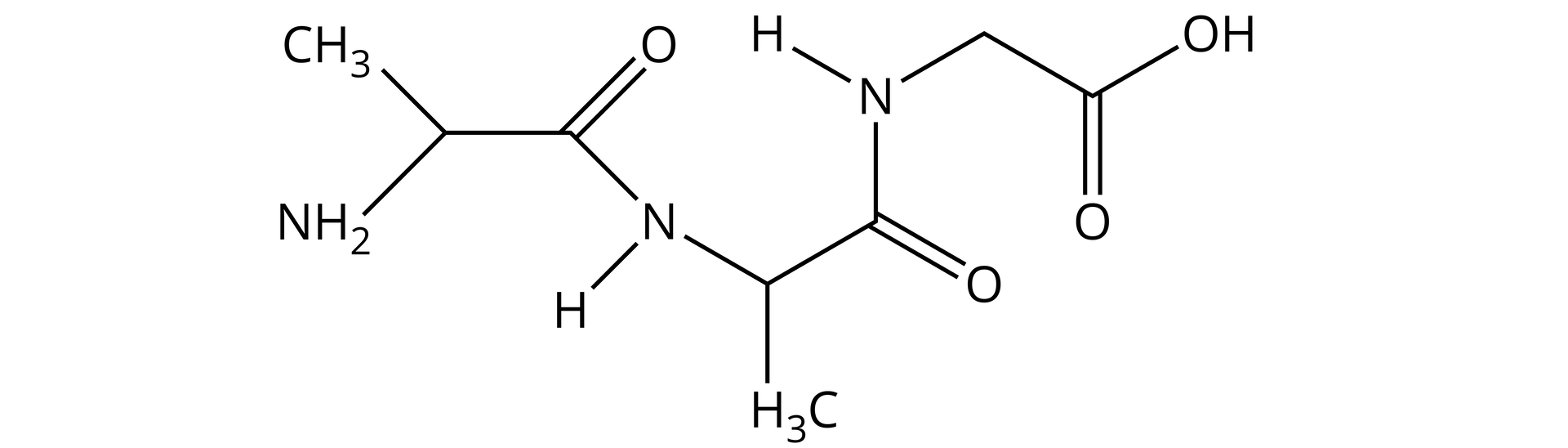 Ilustracja przedstawia wzór. Opis od lewej strony: atom węgla łączy się z lewej strony z grupą aminową i metylową, a z prawej strony z atomem węgla. Ten z kolei łączy się u góry wiązaniem podwójnym z atomem tlenu, a na dole z atomem azotu, połączonym z atomem wodoru. Atom azotu łączy się z atomem węgla. Ten z kolei łączy się na dole z grupą metylową, a po prawej stronie z kolejnym atomem węgla połączonym wiązaniem podwójnym z atomem tlenu, a na górze z atomem azotu. Atom azotu łączy się po lewej stronie  z atomem wodoru, a po prawej z atomem węgla, który łączy się z grupą COOH. 