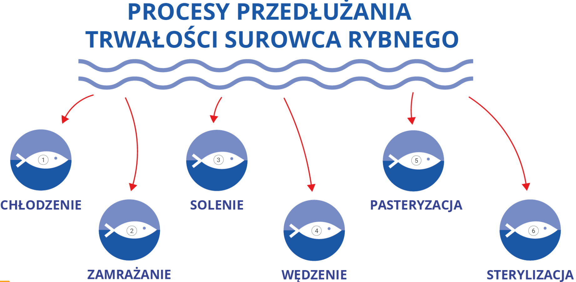 Zdjęcie przedstawia przykładowy wygląd infografiki, która znajduje się w tym e‑materiale. Na górze grafiki znajduje się niebieski tytuł. Brzmi on procesy przedłużania trwałości surowca rybnego. Pod napisem są dwie niebieskie fale. Od fali w dół odchodzi sześć czerwonych strzałek. Każda prowadzi do obrazka białej ryby umieszczonej w niebieskim kole. Na każdej rybie umieszczony jest znacznik z numerem. Pod rybami znajdują się nazwy procesów. Są to kolejno: chłodzenie, zamrażanie, solenie, wędzenie, pasteryzacja i sterylizacja.