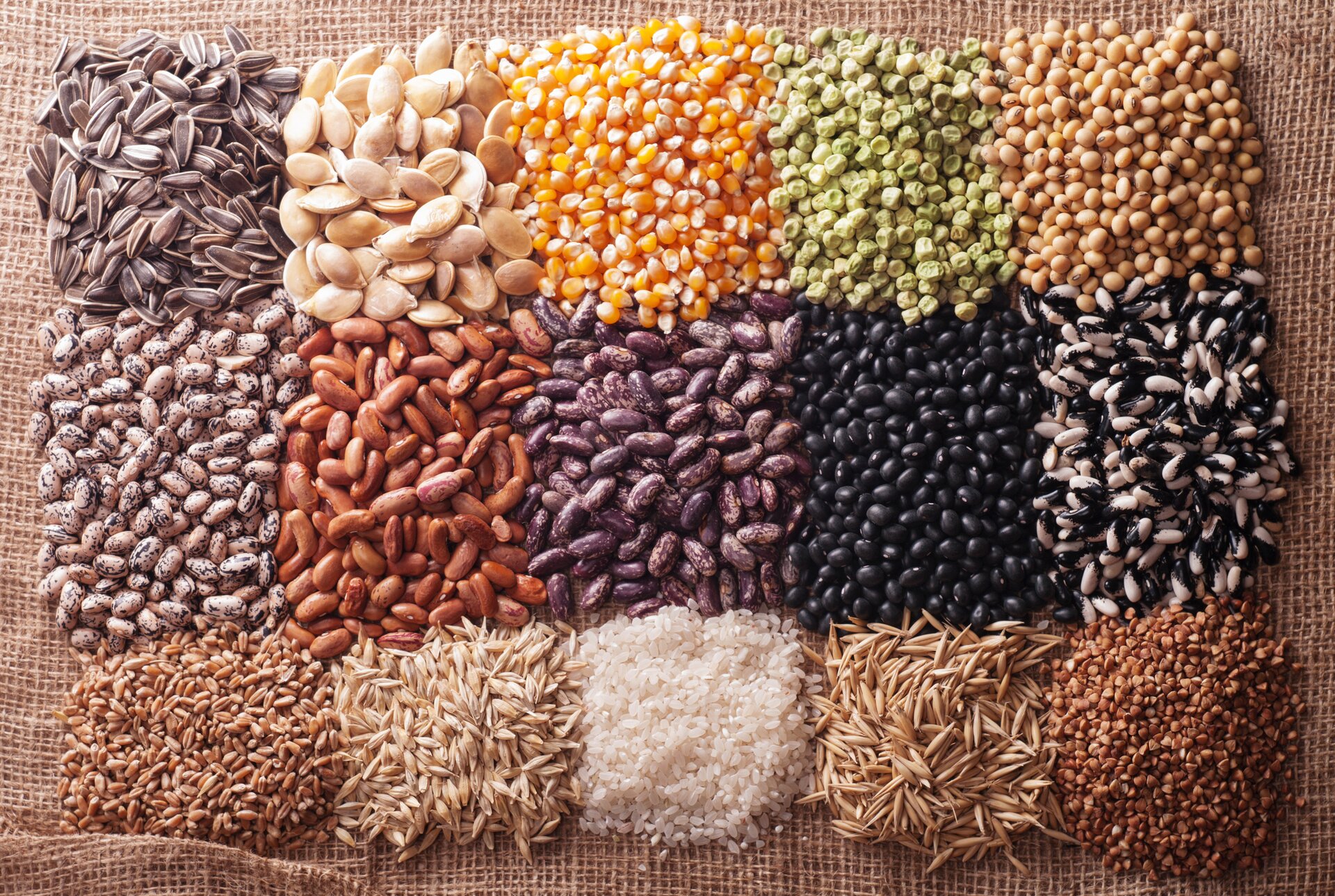 Ilustracja przedstawia zdjęcie piętnastu zbóż. Ziarna zbóż są wyłożone na brązowym materiale. Każde pole to inny rodzaj zboża. Są tam między innymi: słonecznik, kukurydza, groch, fasola, zboże, pszenica, ryż, kasza.