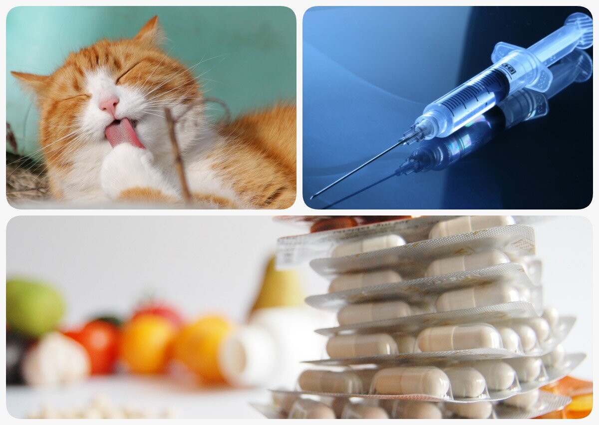 Ćwiczenie alternatywne wyświetla się w trybie dostępności.