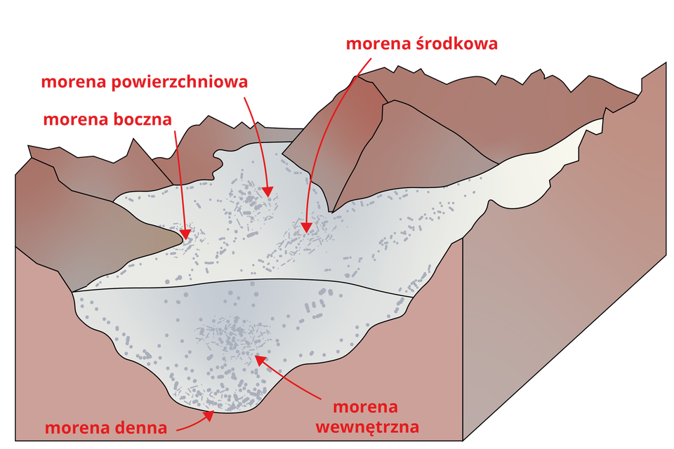 Ilustracja przedstawia kilka typów moren. Na ilustracji jest pasmo górskie ze spływającym lodowcem. Na górnej powierzchni lodowca zaznaczono morenę powierzchniową, z boku morenę boczna, w środkowej części morenę środkową. Wewnątrz jęzora lodowcowego, w miejscu grubego lodu jest morena wewnętrzna, jej dolna część, dno to morena denna.     