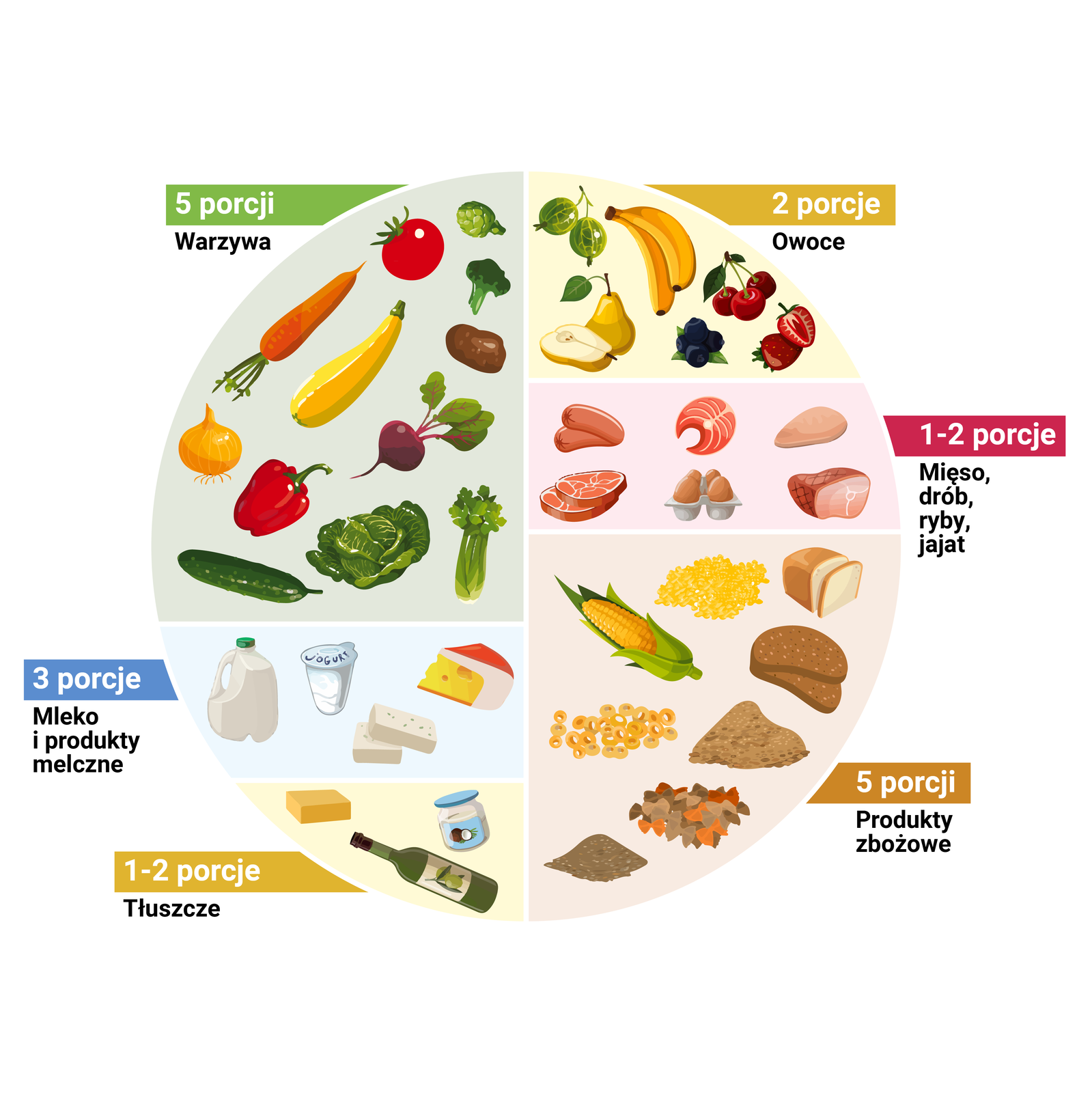 Ilustracja. Koło złożone z sześciu części. W największej części, podpisanej pięć porcji warzywa, znajdują się rysunki warzyw, między innymi: pomidor, burak, kapusta, ogórek. W drugiej co do wielkości części, podpisanej pięć porcji produkty zbożowe, znajdują się rysunki produktów zbożowych, m.in. kukurydza, pieczywo. W części podpisanej trzy porcje mleko i produkty mleczne, rysunki produktów mlecznych, m.in. ser żółty, jogurt naturalny. W części podpisanej dwie porcje owoce, rysunki owoców, m.in. banany, gruszki, truskawki. W części podpisanej jedna‑dwie porcje tłuszcze, rysunki tłuszczów: masło, olej kokosowy, oliwa. W części podpisanej jedna‑dwie porcje mięso, drób, ryby, jaja, rysunki różnych rodzajów mięsa i jaj.