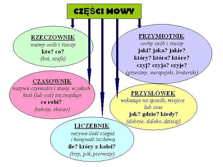 Schemat nosi tytuł: części mowy i zawiera informacje o pięciu częściach mowy: rzeczowniku, czasowniku, liczebniku, przysłówku i przymiotniku. Informacje znajdują się w okręgach. W lewym górnym rogu znajdują się informacje o rzeczowniku. Treść informacji: rzeczownik nazwy osób i rzeczy, kto? co? kot, szafa. Poniżej informacje o czasowniku. Treść: czasownik nazywa czynności i stany, w jakich ktoś lub coś się znajduje, co robi? tańczy, skacze. Poniżej informacje o liczebniku. Treść: liczebnik nazywa ilość czegoś i kolejność liczbową, ile? który z kolei? trzy, pół, pierwszy. Z prawej strony u góry informacje o przymiotniku. Treść: przymiotnik cechy osób i rzeczy, jaki? jaka? jakie? który? która? które? czyj? czyja? czyje? grzeczny, europejski, braterski. Poniżej informacje o przysłówku. Treść: przysłówek wskazuje na sposób, miejsce lub czas jak? gdzie? kiedy? dobrze, daleko, dzisiaj.