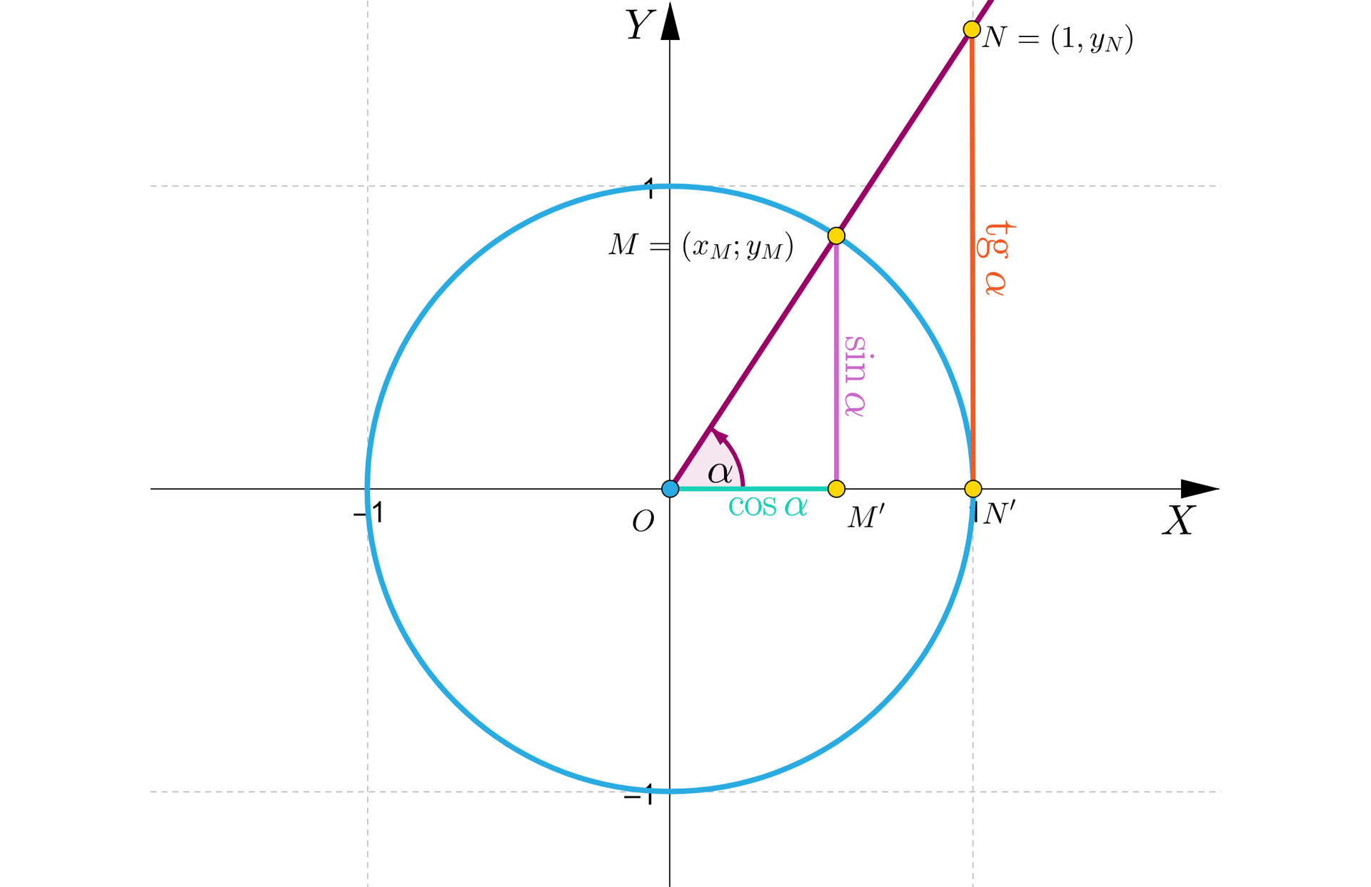 Na ilustracji przedstawiono układ współrzędnych z poziomą osią X od minus jeden do jeden, oraz z pionową osią Y od minus jeden do jeden. Na płaszczyźnie narysowano okrąg o środku w punkcie O, o współrzędnych 0;0 i promieniu równym jeden. W pierwszej ćwiartce, narysowano półprostą, wychodzącą ze środka układu współrzędnych. Półprosta nachylona jest do osi x pod kątem alfa. Kąt alfa jest kątem ostrym, większym niż 45°.  Półprosta przecina okrąg w punkcie M, o współrzędnych xM;yM. Literą N z indeksem górnym prim, oznaczono punkt przecięcia okręgu z osią X. Z punktu M poprowadzono prostą do punktu M', znajdującego się na osi X. Z punktu N z indeksem górnym prim, poprowadzono prostą do punktu N=1;yN, znajdującego się na półprostej. Odcinki MM' oraz NN' są względem siebie równoległe oraz prostopadłe do osi X. Odcinek OM' podpisano cosα. Odcinek MM' podpisano sinα. Odcinek NN' podpisano tanα. 