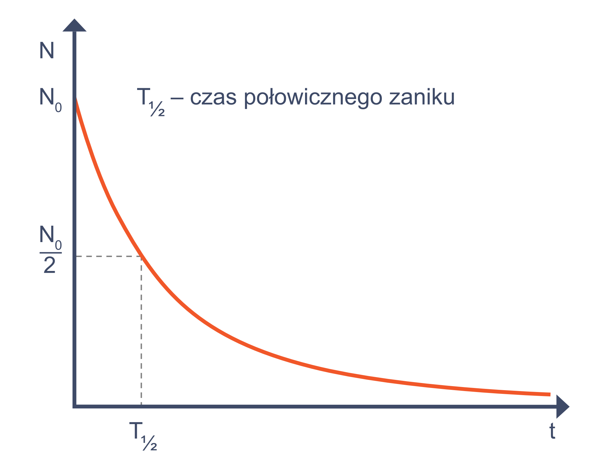 Ilustracja przedstawia pierwszą ćwiartkę układu współrzędnych. Przy grocie osi poziomej litera małe te. Przy grocie osi pionowej litera duże en. Wykres narysowany czerwoną ciągłą linią, zaczyna się wysoko na osi pionowej w punkcie duże en z indeksem zero i ciągnie łukowato, w dół i wzdłuż osi poziomej; wpierw opada szybciej, po czym coraz wolniej zbliża się do osi poziomej. W połowie wysokości między przecięciem osi a punktem duże en zero zaznaczono wielkość duże en zero podzielone przez dwa i pociągnięto od niego poziomą przerywaną linię aż do wykresu; dalej linia pociągnięta jest pionowo w dół, do punktu duże te z indeksem dolnym jedna druga. Nad wykresem napis: duże te z indeksem dolnym jedna druga - czas połowicznego zaniku.