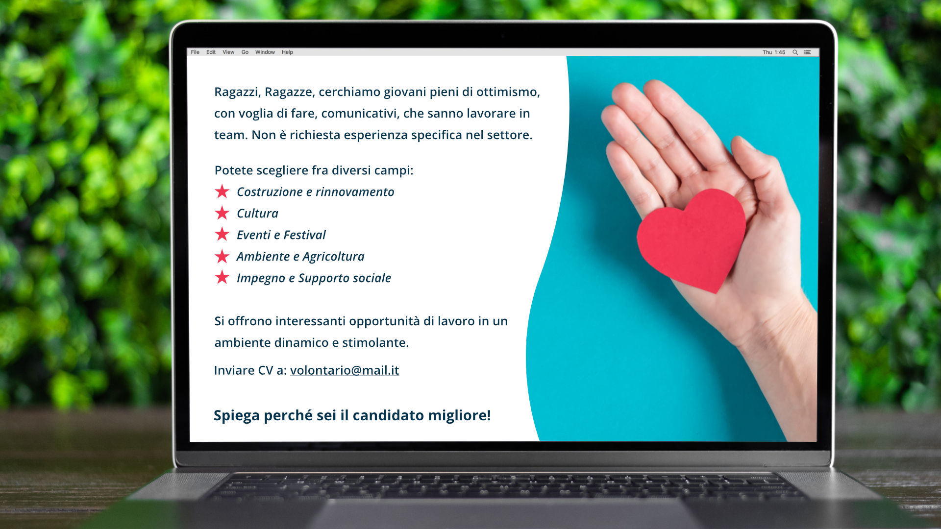 Zdjęcie przedstawia ogłoszenie o poszukiwaniu wolontariuszy. Ogłoszenie wyświetlone jest na ekranie laptopa. Po prawej stronie zdjęcia widoczna jest otwarta dłoń na której leży serce wycięte z papieru. Po lewej stronie widoczny jest tekst ogłoszenia: Ragazzi, Ragazze, cerchiamo giovani pieni di ottimismo, con voglia di fare, comunicativi, che sanno lavorare in team. 
Non è richiesta esperienza specifica nel settore.
Potete scegliere fra diversi campi: Costruzione e rinnovamento, Cultura, Eventi e Festival, Ambiente e Agricoltura, Impegno e Supporto sociale.
Si offrono interessanti opportunità di lavoro in un ambiente dinamico e stimolante. Inviare CV a: volontario@mail.it.
Spiega perché sei il candidato migliore!