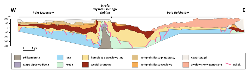 Ilustracja przedstawia przekrój geologiczny przez złoże bełchatowskie węgla brunatnego. Przekrój przebiega od 200 metrów nad poziomem morza do minus 400 metrów. Po lewej stronie przekroju jest Pole Szczerców, po prawej Pole Bełchatów, pomiędzy nimi Strefa wysadu solnego Dębina. W dolnej części przekroju są pokłady z jury. W strefie wysadu solnego po prawej stronie na dole są pokłady kredowe. W górę pionowo układa się sól kamienna. W jej górnej części jest czapa gipsowo‑iłowa. Powyżej wymienionych osadów jurajskich jest warstwa kompleksu powęglowego(Tr), nad nią jest węgiel brunatny (od około minus 200 w Polu Bełchatów, minus 100 w Polu Szczerców do 200 metrów - w sąsiedztwie strefy wysadu solnego. Nad warstwą wegla brunatnego jest warstwa kompleksu ilasto‑węglowego - głównie w Polu Szczerców. W Polu Szczerców nad tą warstwą leży kompleks ilasto‑piaszczysty. Po stronie Pola Bełchatów jest zwałowisko wewnętrzne. ). Na przekroju zaznaczono także liczne uskoki pomiędzy kompleksem powęglowym a warstwą jurajską.      
