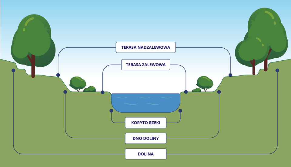 Ilustracja przedstawia schemat terasy zalewowej i nadzalewowej. W centralnej części znajduje się zaokrąglone wgłębienie wypełnione wodą - koryto rzeki. Okolice brzegu rzeki są płaskie, oznaczono je jako terasa zalewowa. W pewnej odległości od brzegu znajdują się wzniesienia, obszar pomiędzy nimi to dno doliny. Na wzniesieniu teren jest płasko ukształtowany, jest to terasa nadzalewowa. Z obszaru tarasy nadzalewowej powstaje kolejne wzniesienie i oznaczony jest jako dolina. 