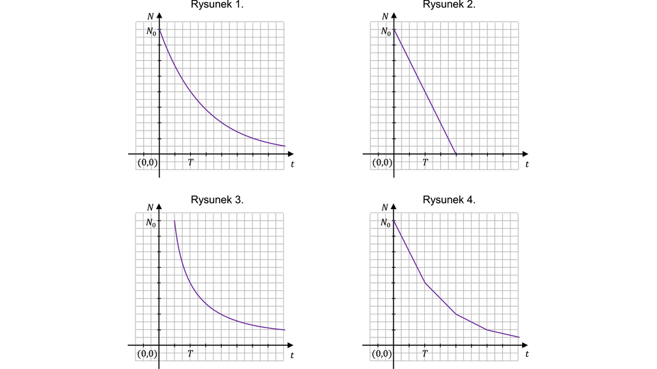 Obraz przedstawia cztery wykresy na czterech układach współrzędnych, z osiami opisanymi literą "t" dla osi poziomej i "N" dla osi pionowej oraz zaznaczonymi punktami N indeks dolny zero na osi pionowej i "T" na osi poziomej.
W pierwszym wykresie (opisanym nazwą Rysunek 1) krzywa zaczyna się wysoko na osi pionowej i stopniowo opada, tworząc gładki, łagodnie zakrzywiony łuk, który nigdy nie dotyka osi poziomej.
Na drugim wykresie (opisanym nazwą Rysunek 2) wykres również zaczyna się wysoko na osi pionowej, ale opada liniowo z równym nachyleniem aż do osi poziomej, gdzie się kończy.
Oba wykresy  zaczynają się w punkcie o współrzędnych nawias zero średnik n z indeksem dolnym zero zamknięcie nawiasu i  przechodzą przez punkt o  współrzędnych nawias T średnik jedna druga n z indeksem dolnym zero .
Na trzecim wykresie (opisanym nazwą Rysunek 3) krzywa zaczyna się wysoko w punkcie o współrzędnych nawias jedna druga T średnik N z indeksem dolnym zero i stopniowo opada, tworząc gładki, łagodnie zakrzywiony łuk, który nigdy nie dotyka osi poziomej.
Rysunek 4 pokazuje wykres składający się z łamanej stopniowo opadającej w dół. Zaczyna się w punkcie o współrzędnych nawias zero średnik n z indeksem dolnym zero zamknięcie nawiasu i  przechodzi przez punkt o  współrzędnych nawias T średnik jedna druga n z indeksem dolnym zero . Wykres nie dotyka poziomowej osi .