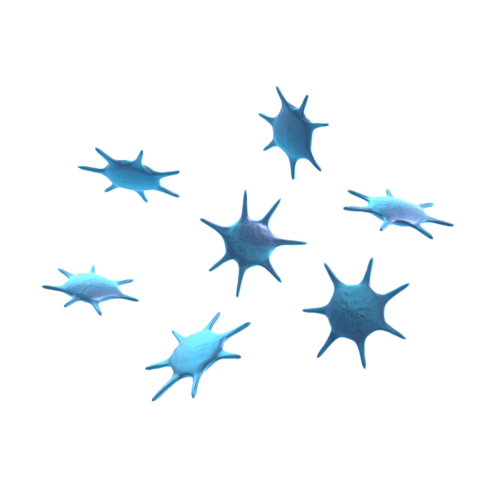 Płytki krwi to małe fragmenty komórek. Mają kształt płaskich gwiazdek z siedmioma cienkimi ramionami.