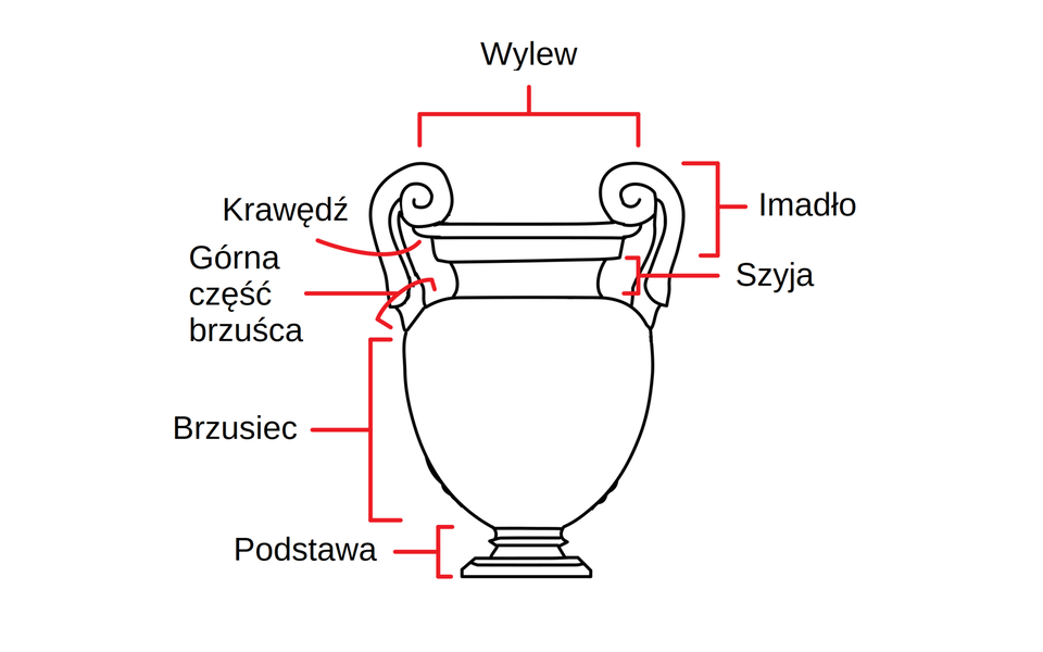 Schemat przedstawiający części typowej ateńskiej wazy, w tym przypadku krateru wolutowego. Na białym tle czarne kontury wazy i jej części oznaczono następującymi nazwami: podstawa, brzusiec, szyja, górna cześć brzuśca, krawędź, imadło, wylew.
