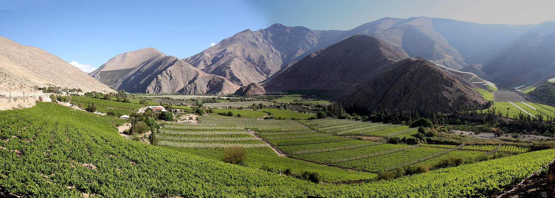 Valle del Elqui (Dolina Elqui) 