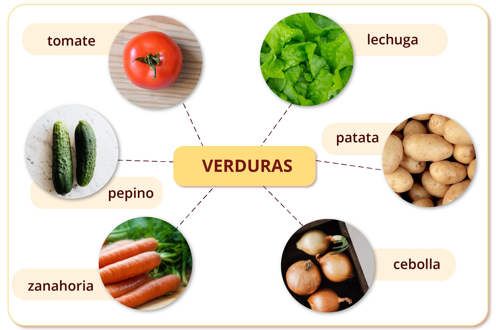 Ilustracja przedstawia zdjęcia warzyw z podpisami. Na środku: VERDURAS. Dookoła: tomate - pomidor; pepino - ogórek; zanahoria - marchew, lechuga - sałata; patata - ziemniak, cebolla - cebula.