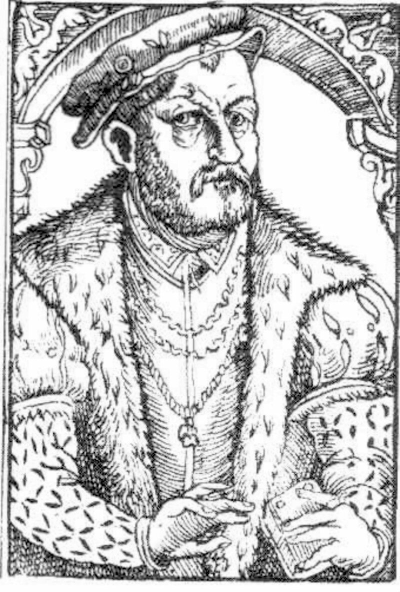 Czarno‑biała rycina przedstawia portret Mikołaja Reja. Mężczyzna jest w średnim wieku, ma brodę i wąsy. Na głowie nosi czapkę. Jest ubrany w kaftan, na którym ma futrzaną  kamizelkę. Na szyi ma łańcuch. W ręku trzyma książkę. Postać jest przedstawiona do pasa.