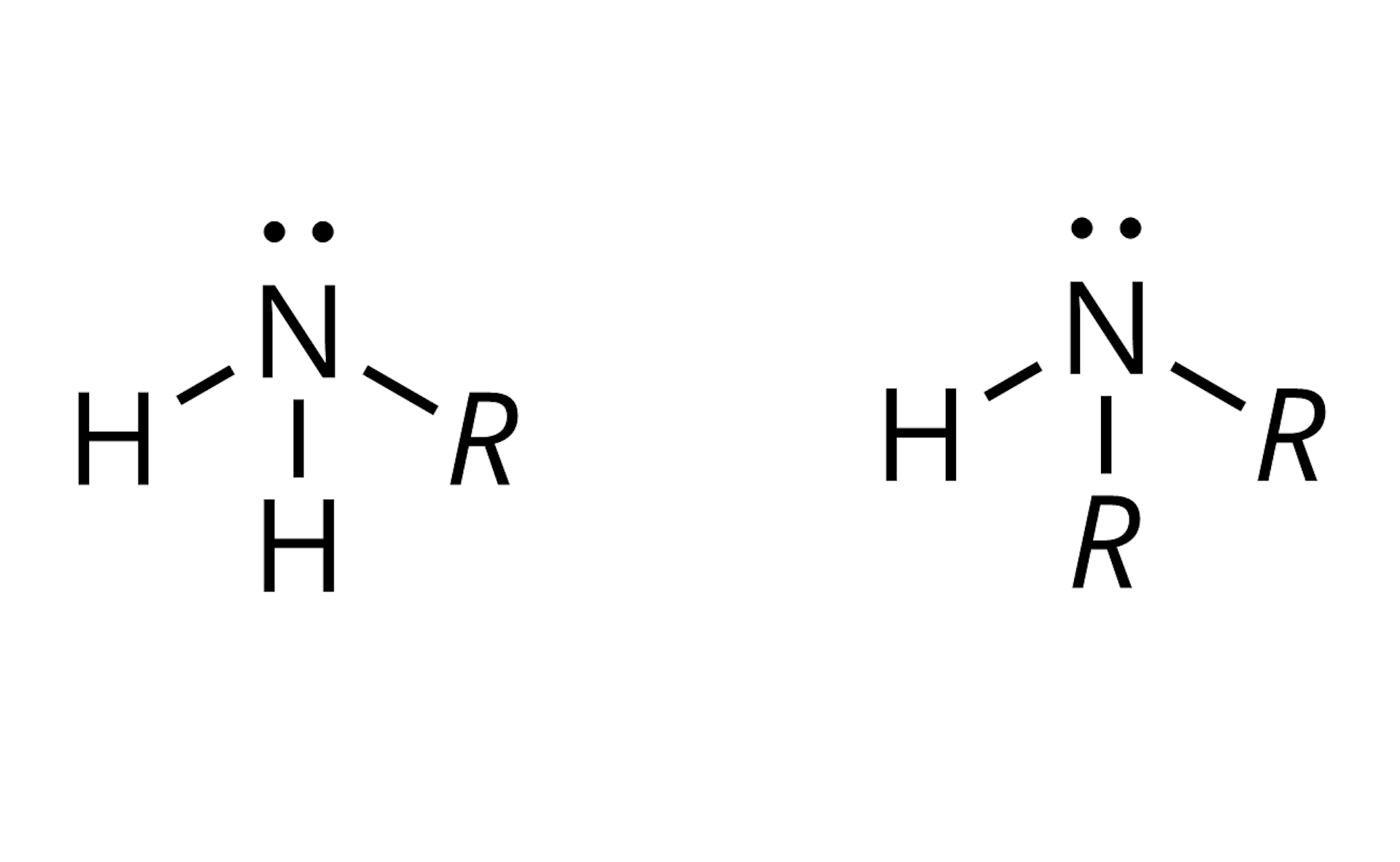 Ilustracja przedstawiająca wzór ogólny amin pierwszo- oraz drugorzędowych. Aminy pierwszorzędowe to takie, które zbudowane są z atomu azotu posiadającego wolną parę elektronową (zaznaczoną jako dwie kropki). Atom ten łączy się z dwoma atomami wodoru oraz podstawnikiem R. Z kolei aminy drugorzędowe tworzy atom azotu posiadający wolną parę elektronową związany z jedynym atomem wodoru H oraz dwiema grupami R.