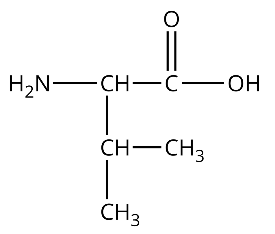 Wzór półstrukturalny waliny. Do grupy H indeks dolny, dwa, koniec indeksu dolnego, N z prawej strony przyłączona jest grupa C H. Od niej odchodzą dwa wiązania pojedyncze. Pierwsze skierowane jest w prawo do atomu węgla. Od niego odchodzą dwa wiązania: podwójne w górę, prowadzące do atomu tlenu i pojedyncze w prawo do grupy O H. Drugie wiązanie odchodzące od grupy C H skierowane jest w dół i łączy się z grupą C H, od której odchodzą dwa pojedyncze wiązania: w prawo do grupy C H indeks dolny, trzy, koniec indeksu dolnego i w dół do grupy C H indeks dolny, trzy, koniec indeksu dolnego.