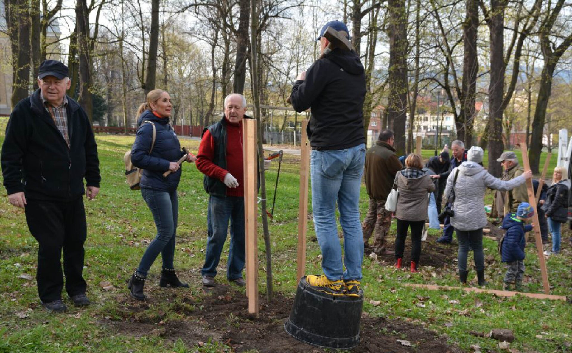 Zdjęcie przedstawia nasadzenia drzew. Na daleko rozciągających się pasach ziemi posadzone są niskie sadzonki drzew iglastych. W tle jest las.