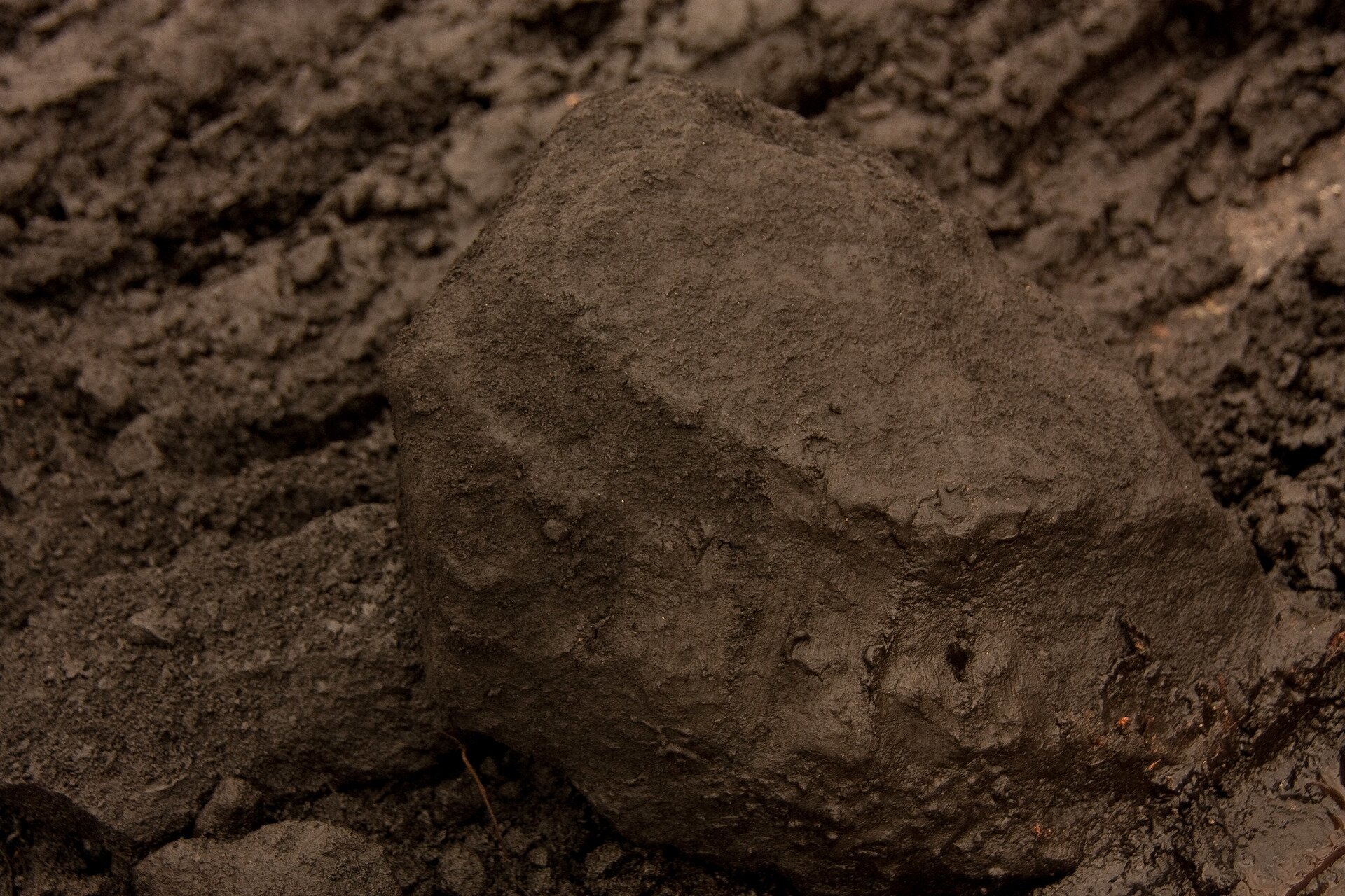 Fotografia przedstawia brunatną bryłkę węgla brunatnego. Bryła o jednolitej barwie, równych gładkich krawędziach, niewielka. Bryła leży na glebie. 