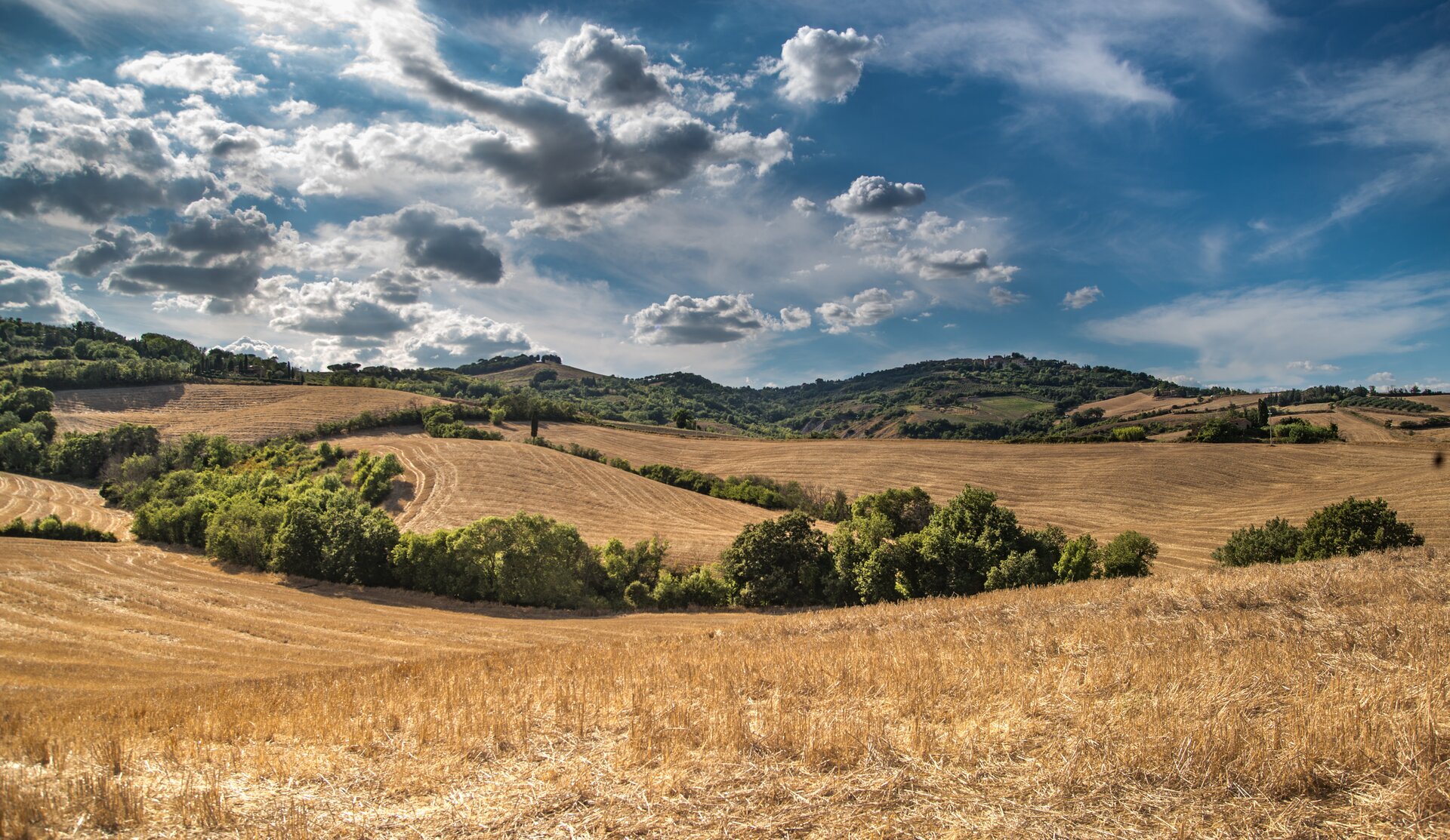 Fotografia barwna przedstawiająca pas wyżyn. Ilustracja przedstawia  pagórkowate tereny uprawne. Pomiędzy nimi znajdują się małe drzewka. 