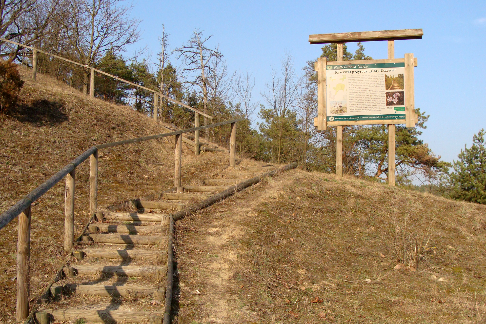 GFotografia przedstawia zbocze góry, porośnięte zeschłą trawą. Po lewej znajdują się drewniane schody. Na zakręcie stoi przy nich drewniana tablica z opisem miejsca. To rezerwat stepowy Góra Uszeście w województwie podlaskim.