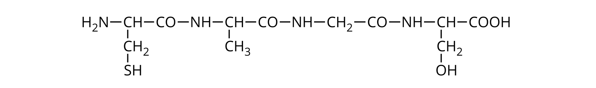Na ilustracji jest wzór. Opis od lewej strony: grupa H 2 N po prawej stronie łączy się z grupą CH. Ta łączy się w dół z grupą metylenową, połączoną w dół z grupą SH. CH w prawo łączy się z CO, a CO w prawo łączy się z NH. NH w prawo łączy się z CH, które w dół łączy się z grupą metylową. CH łączy się w prawo z CO, a CO z NH. NH łączy się w prawo z grupą metylenową, a ta łączy się w prawo z CO. CO łączy się z NH. NH łączy się w prawo z CH. CH łączy się w dół z grupą metylenową, a ta łączy się z w dół z grupą OH. CH łączy się w prawo z grupą COOH.